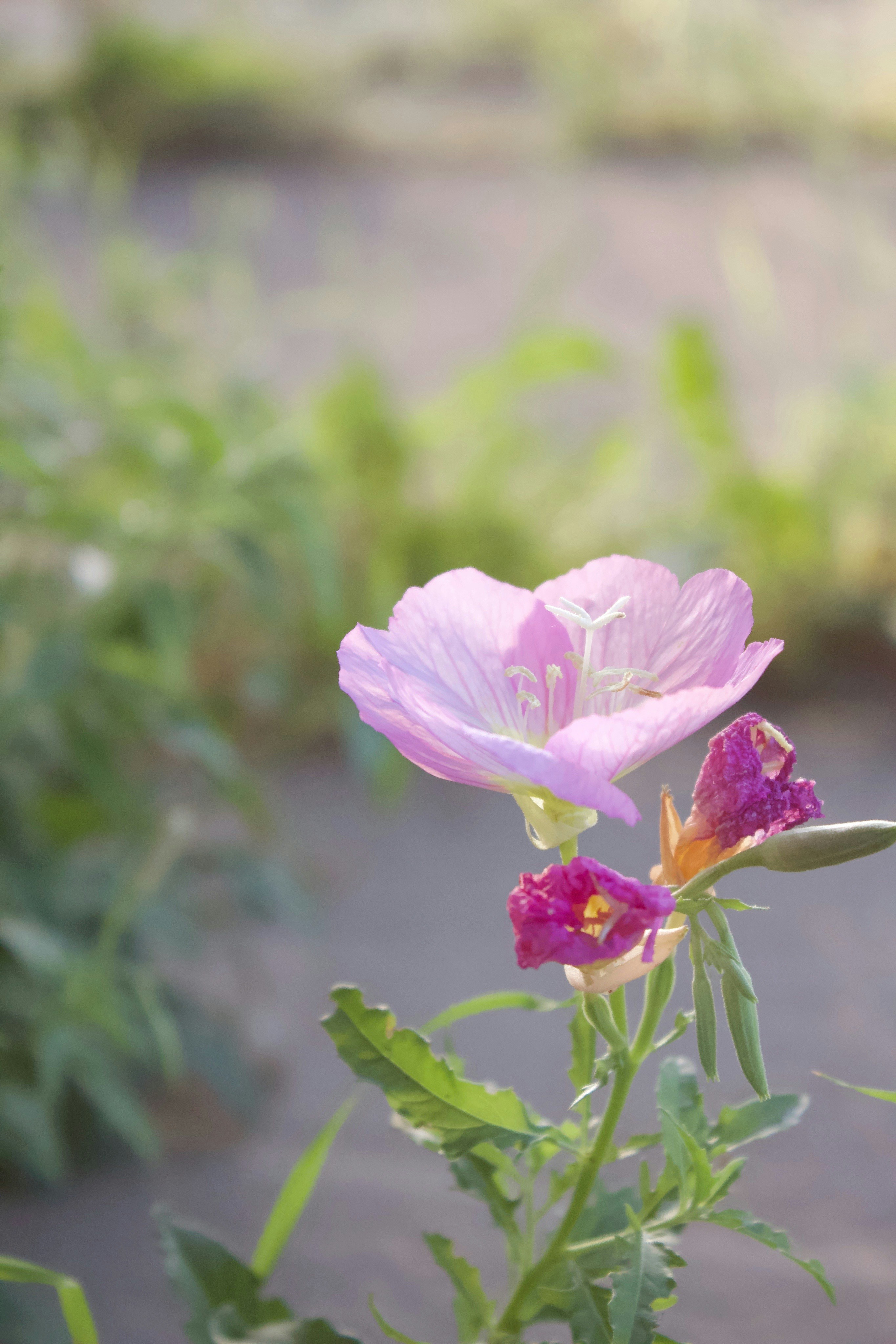 Photo by kailey_hulen