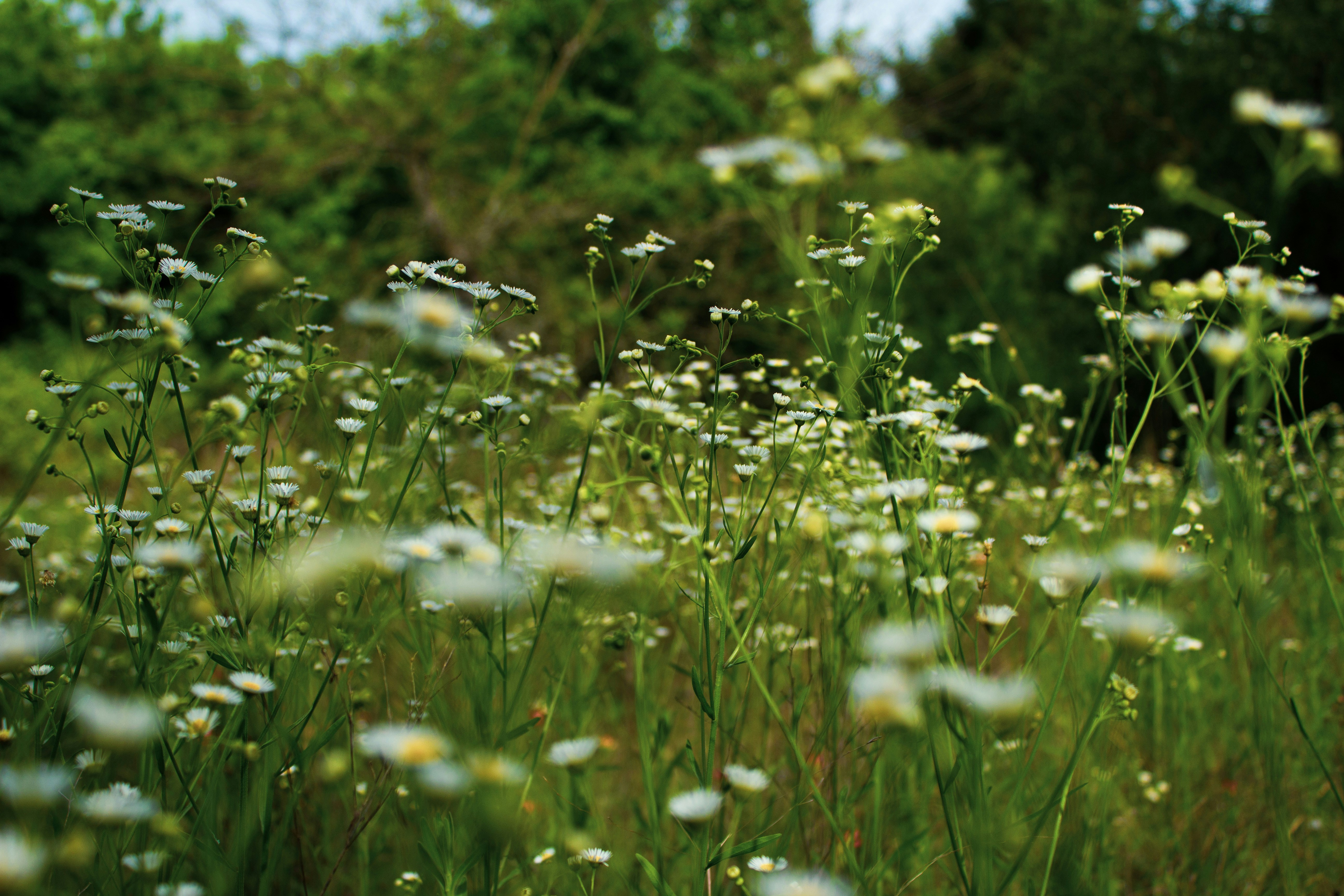 Photo by kailey_hulen