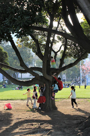 Children playing together in a sunny park surrounded by blooming flowers and tall trees.