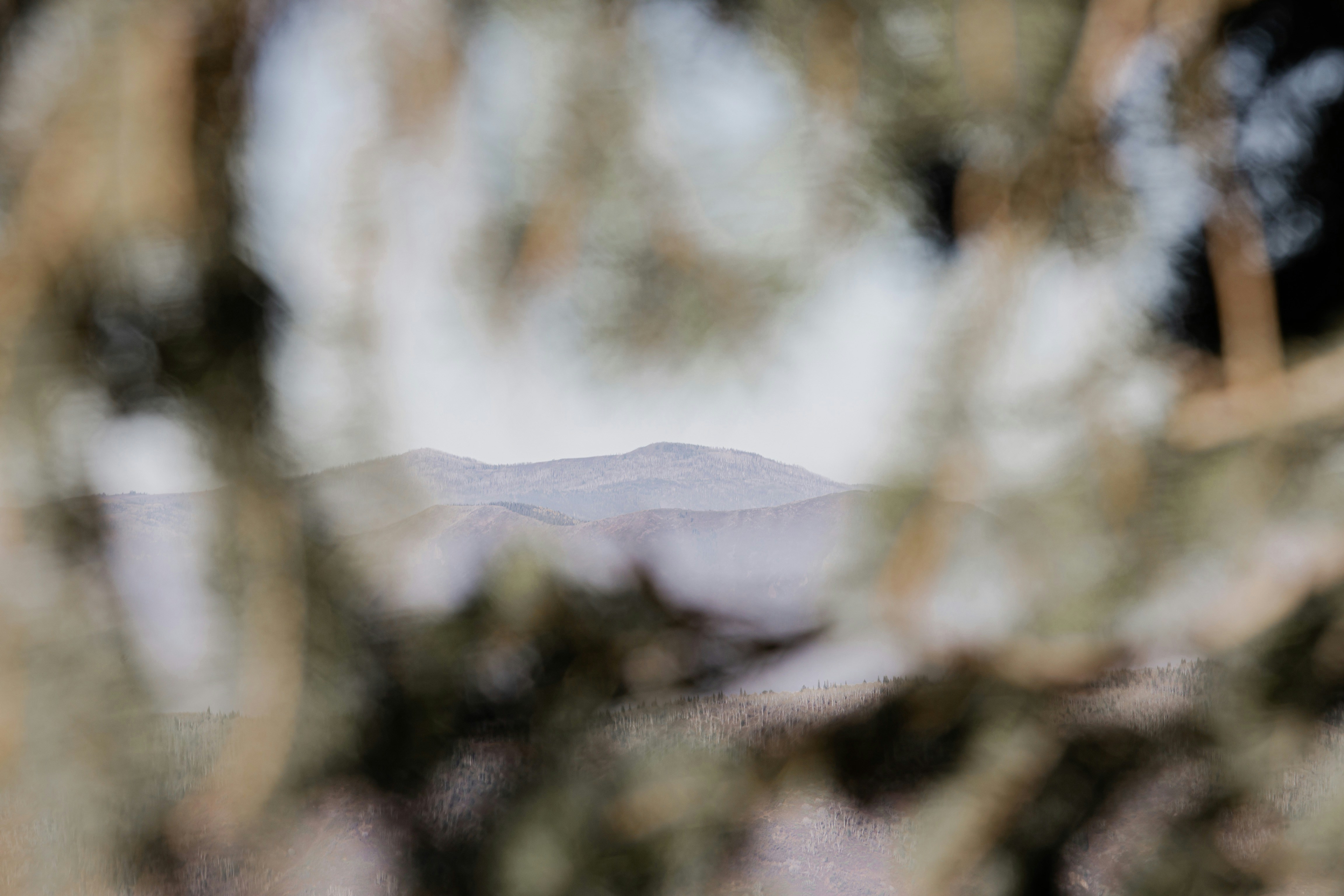Photo by lgnwvr