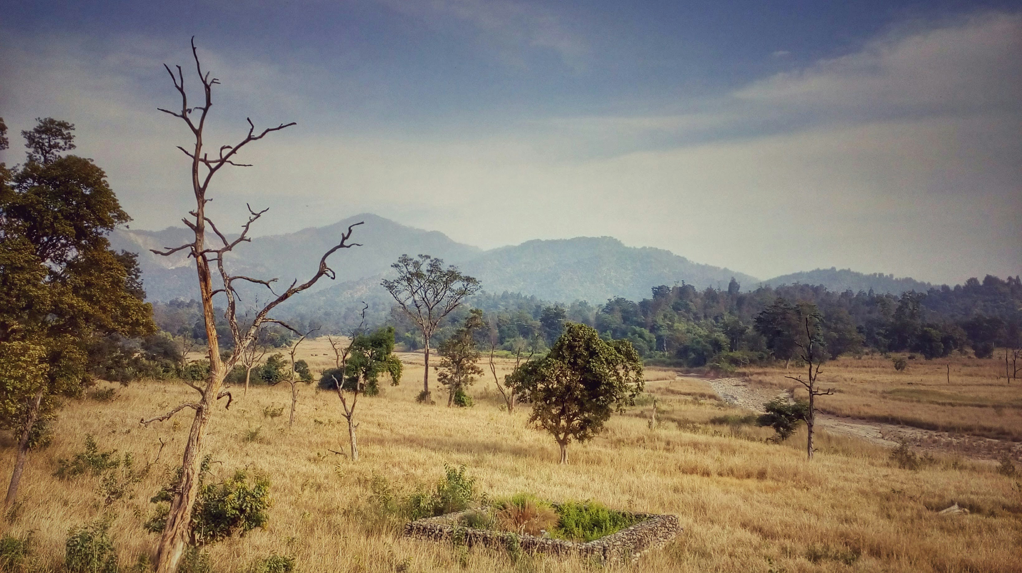 Photo by 68sahil