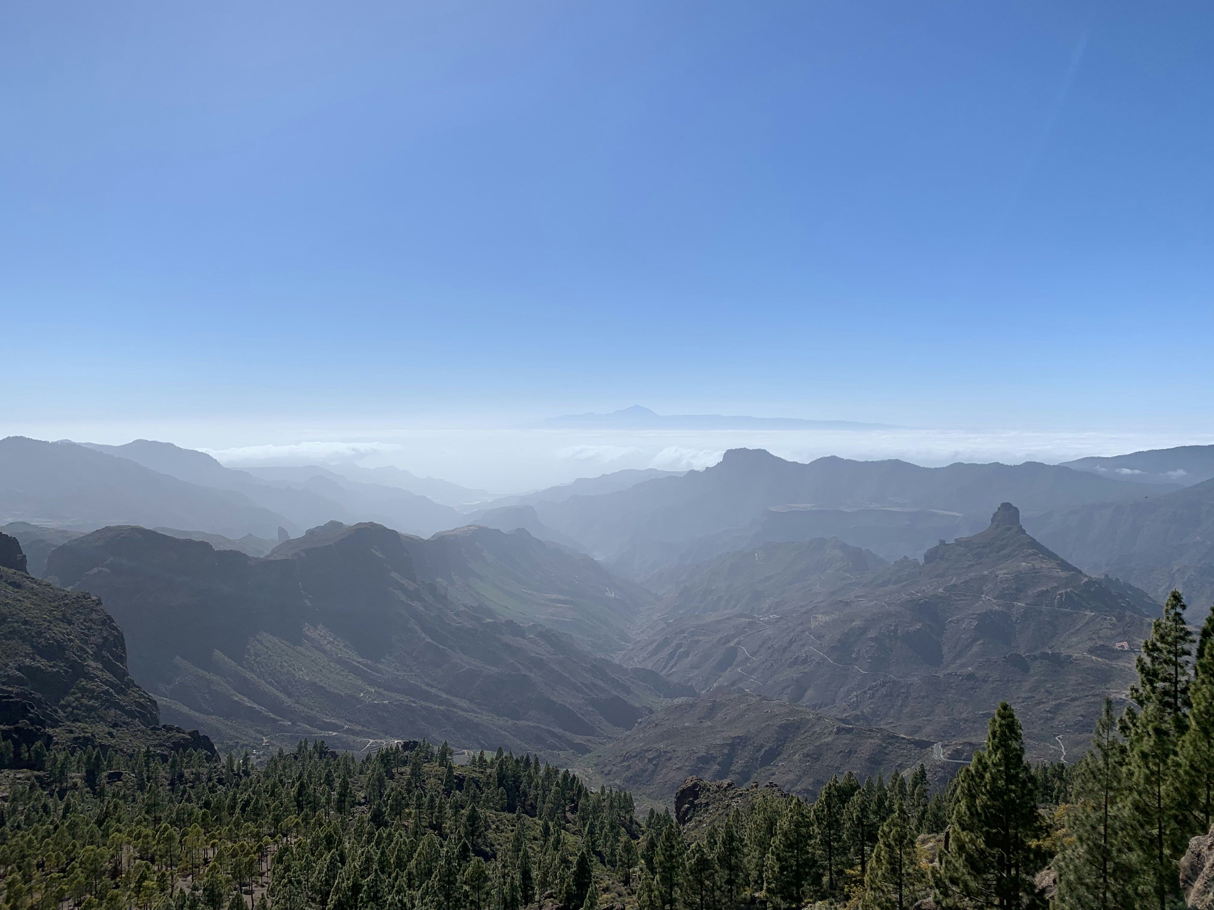 Photo by francintosh