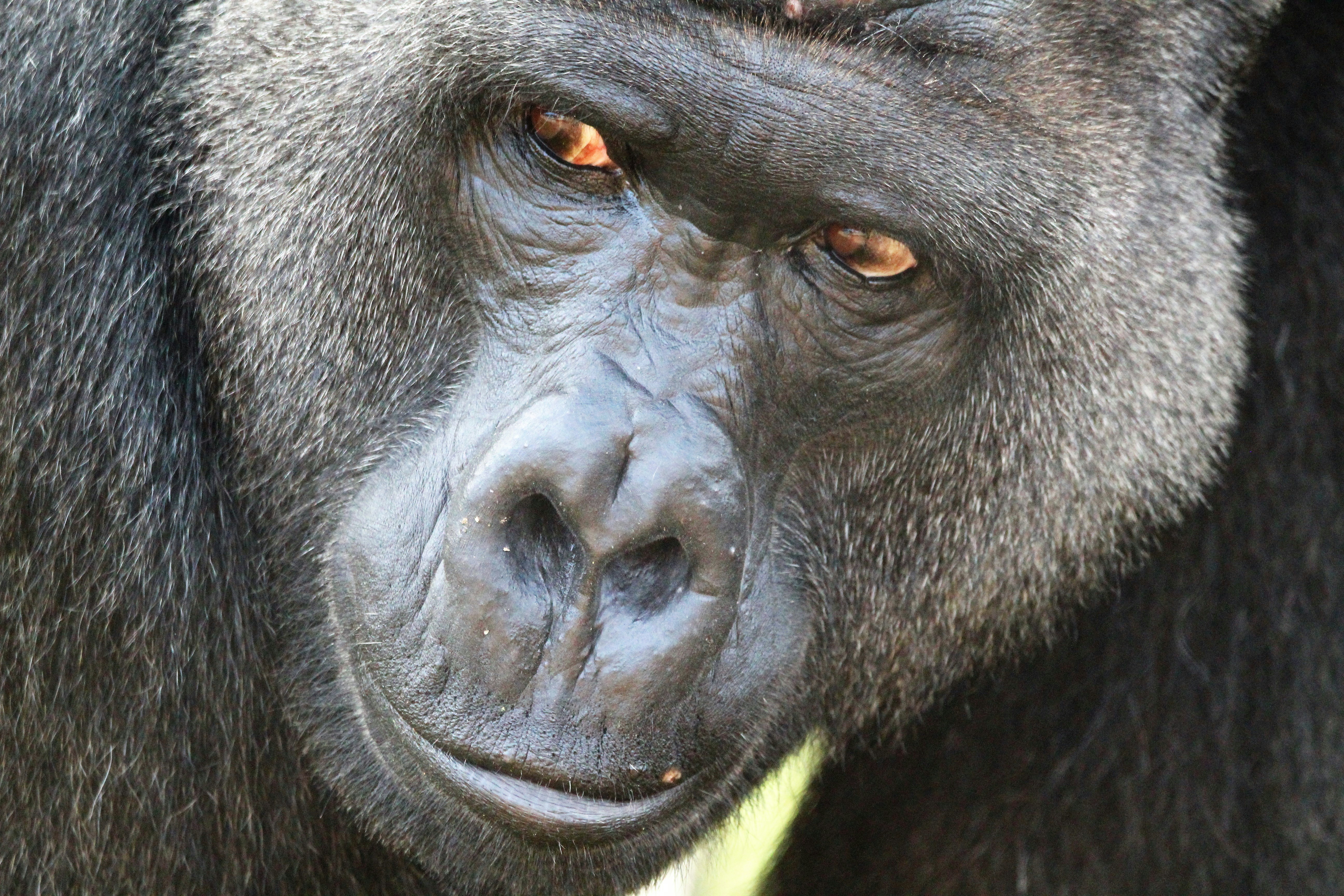 Photo by arkansas007