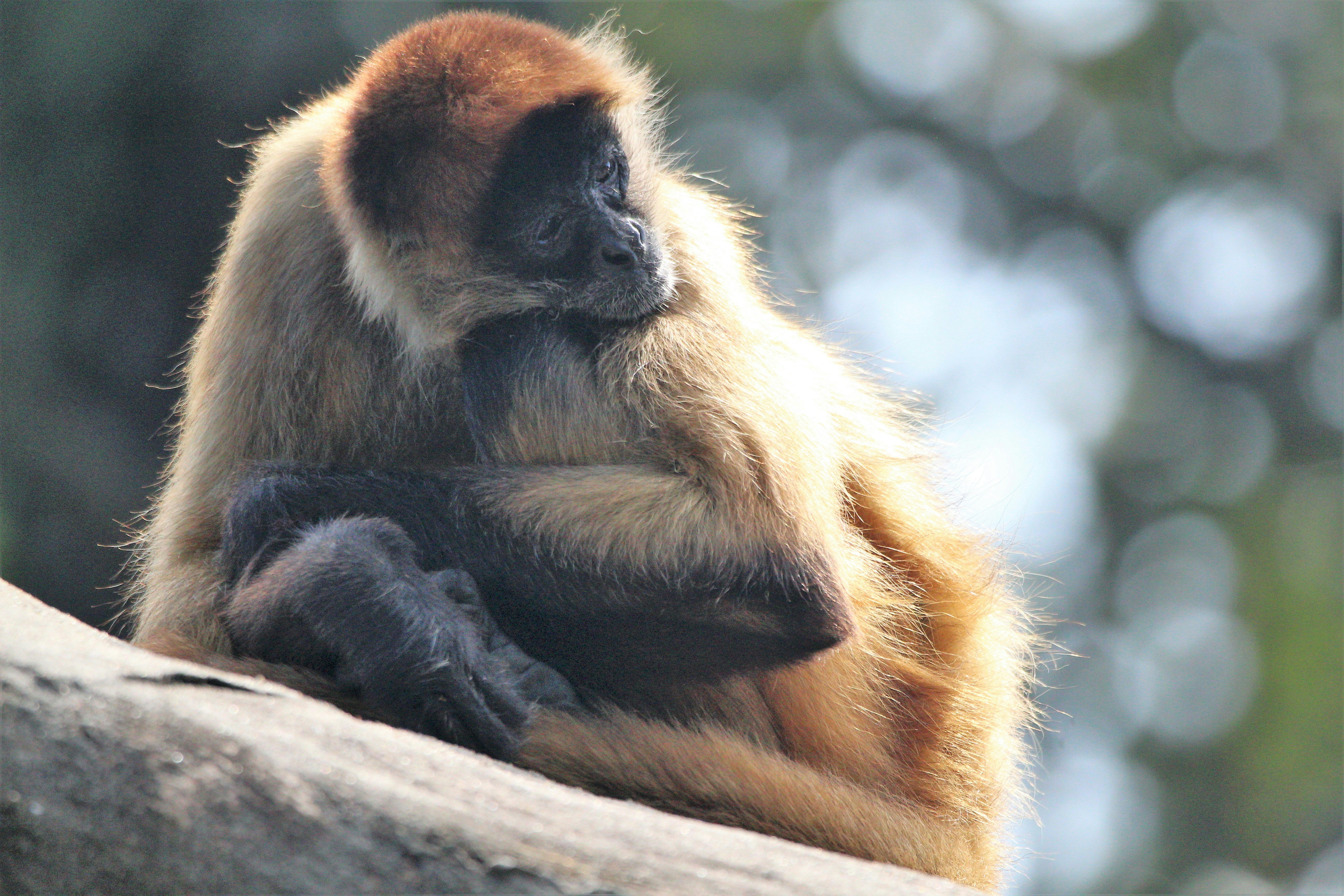 Photo by arkansas007