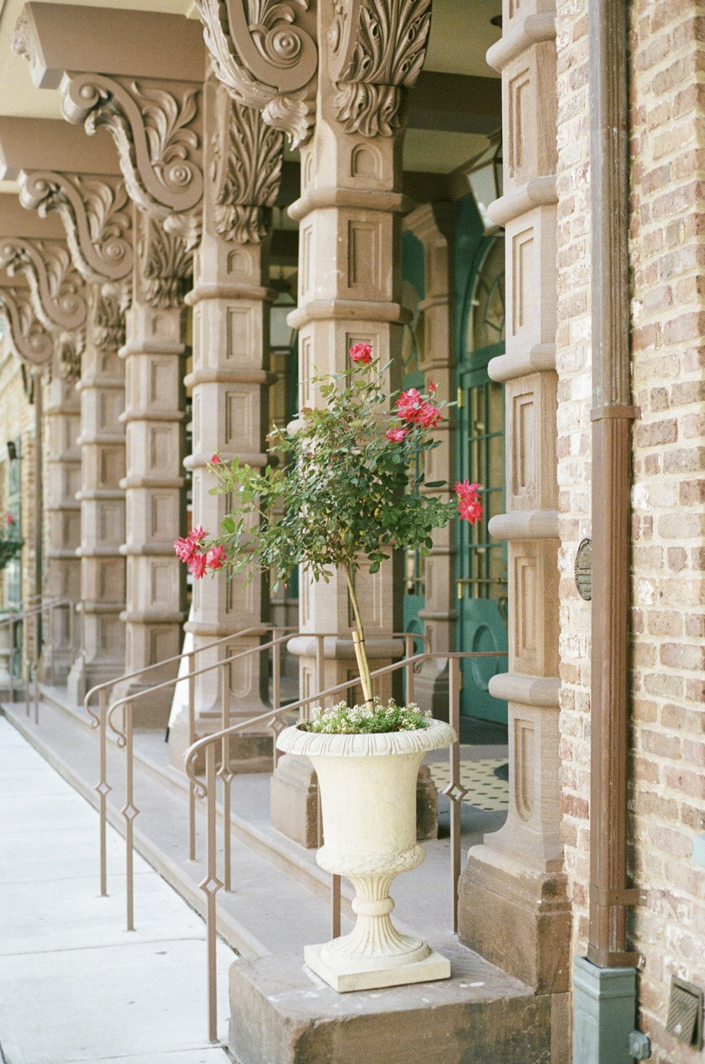 red flowers in white ceramic vase on white concrete staircase