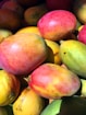 red and yellow round fruits