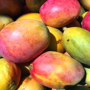 red and yellow round fruits