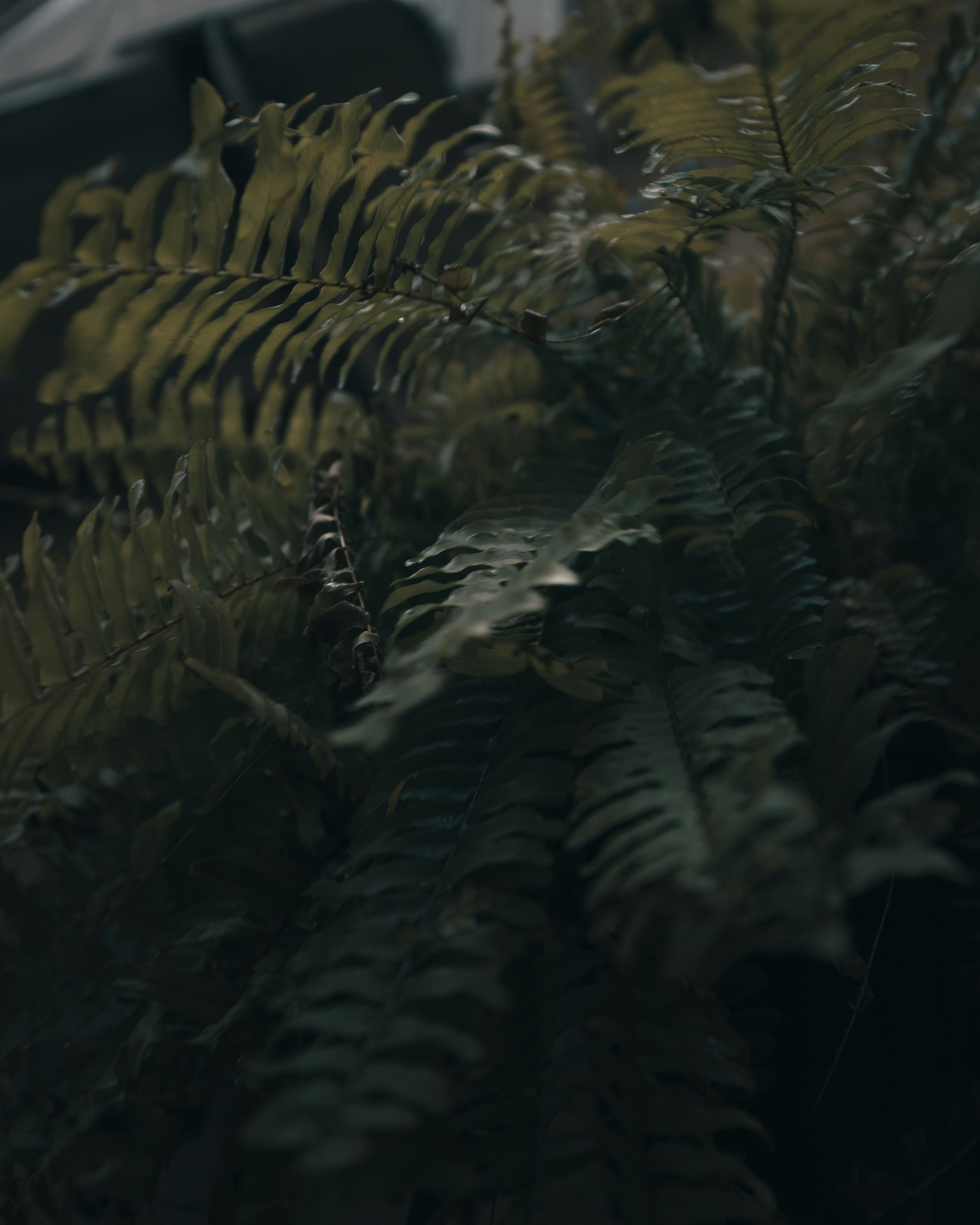 Photo by adamneumann