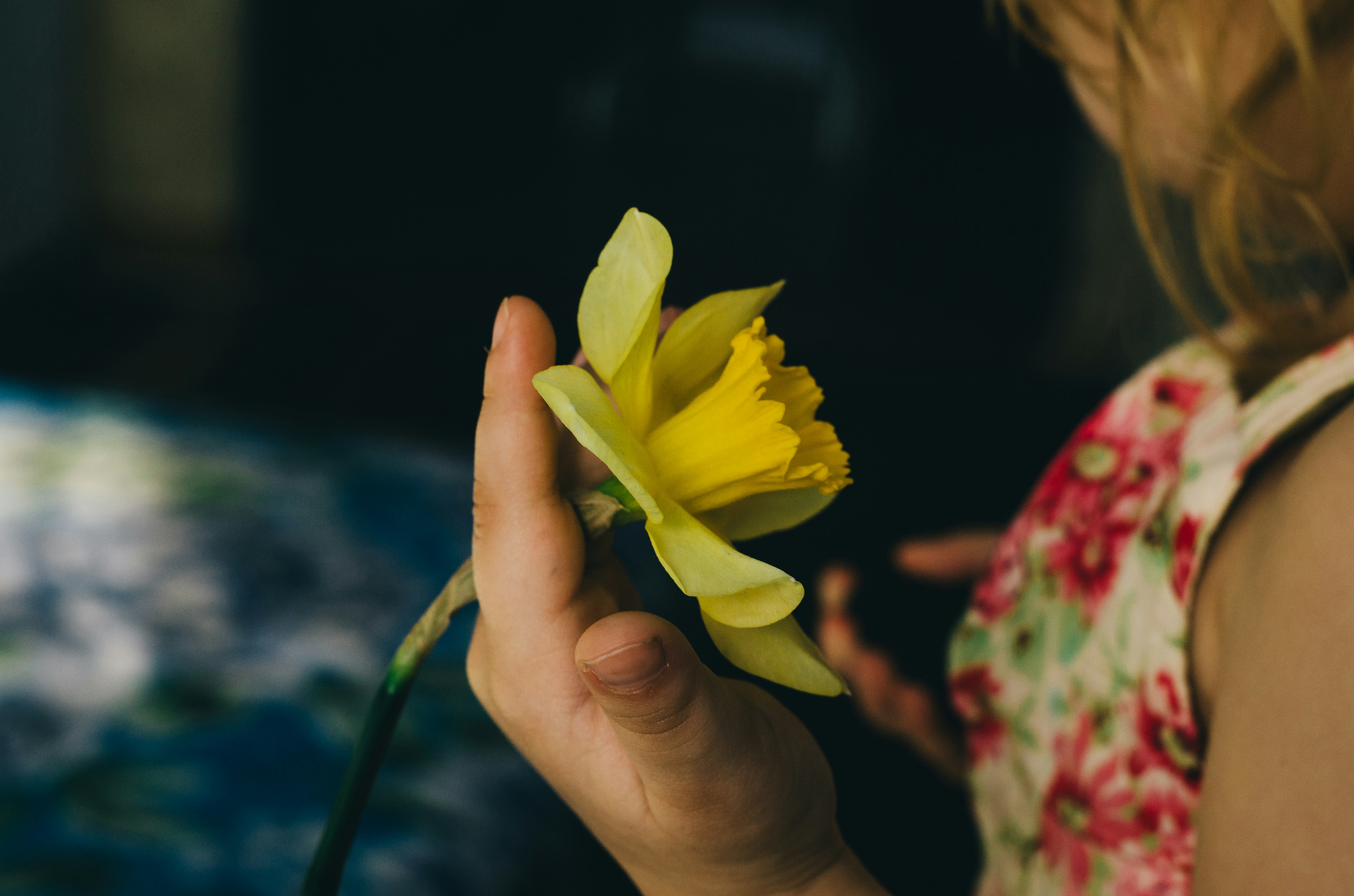 Photo by alina_ryabchenko