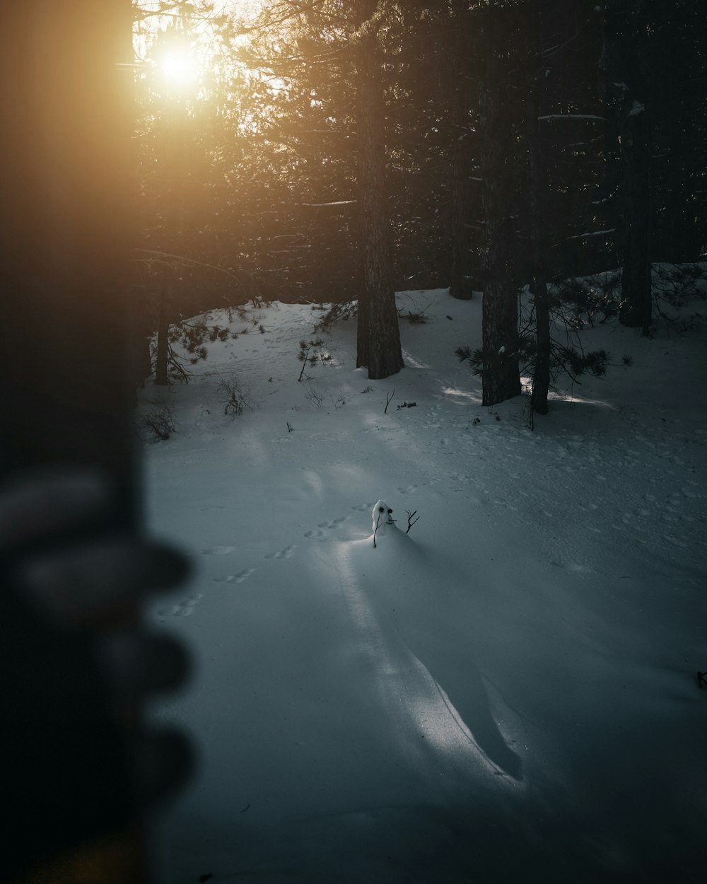 snow covered field during sunset