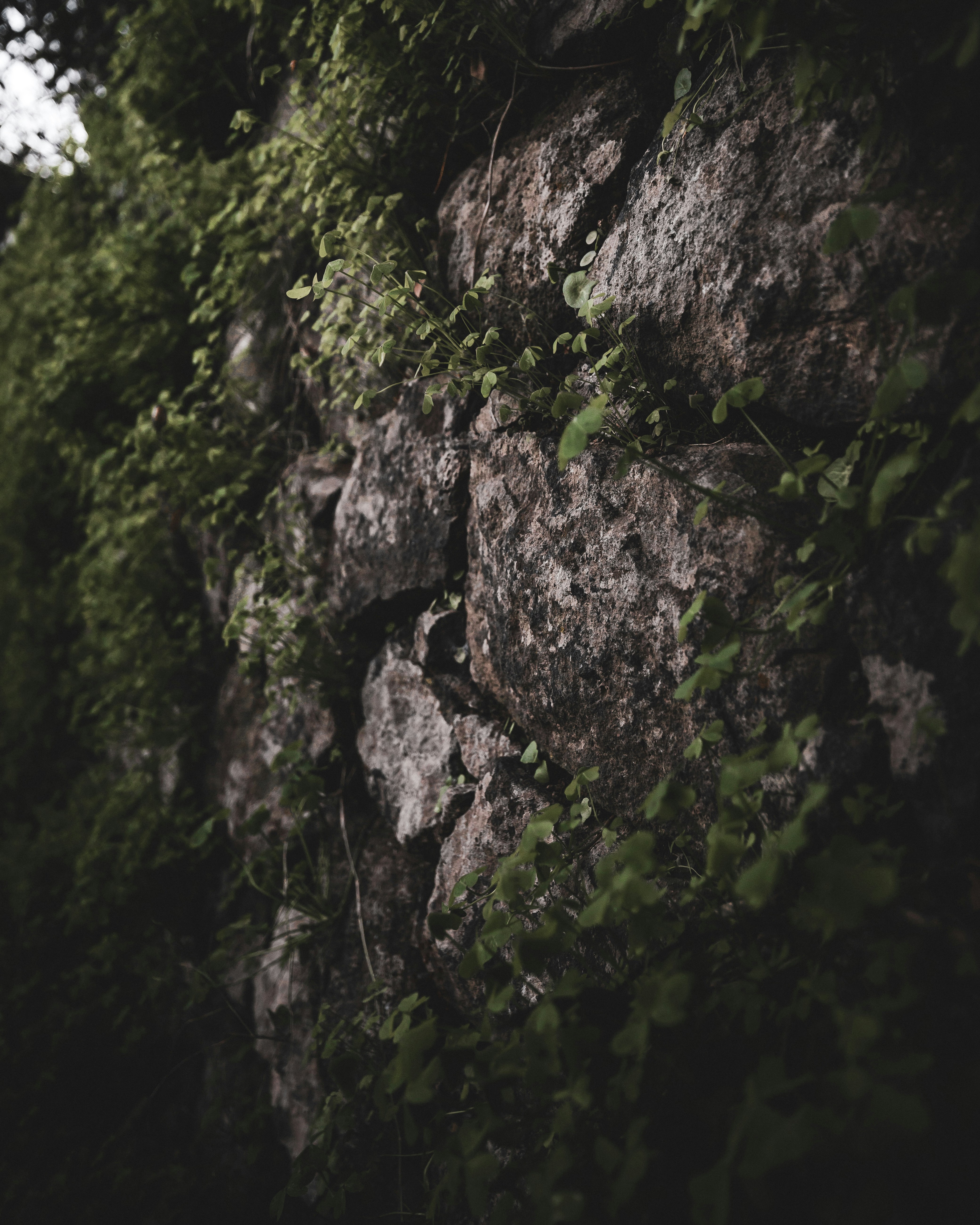 Photo by adamneumann