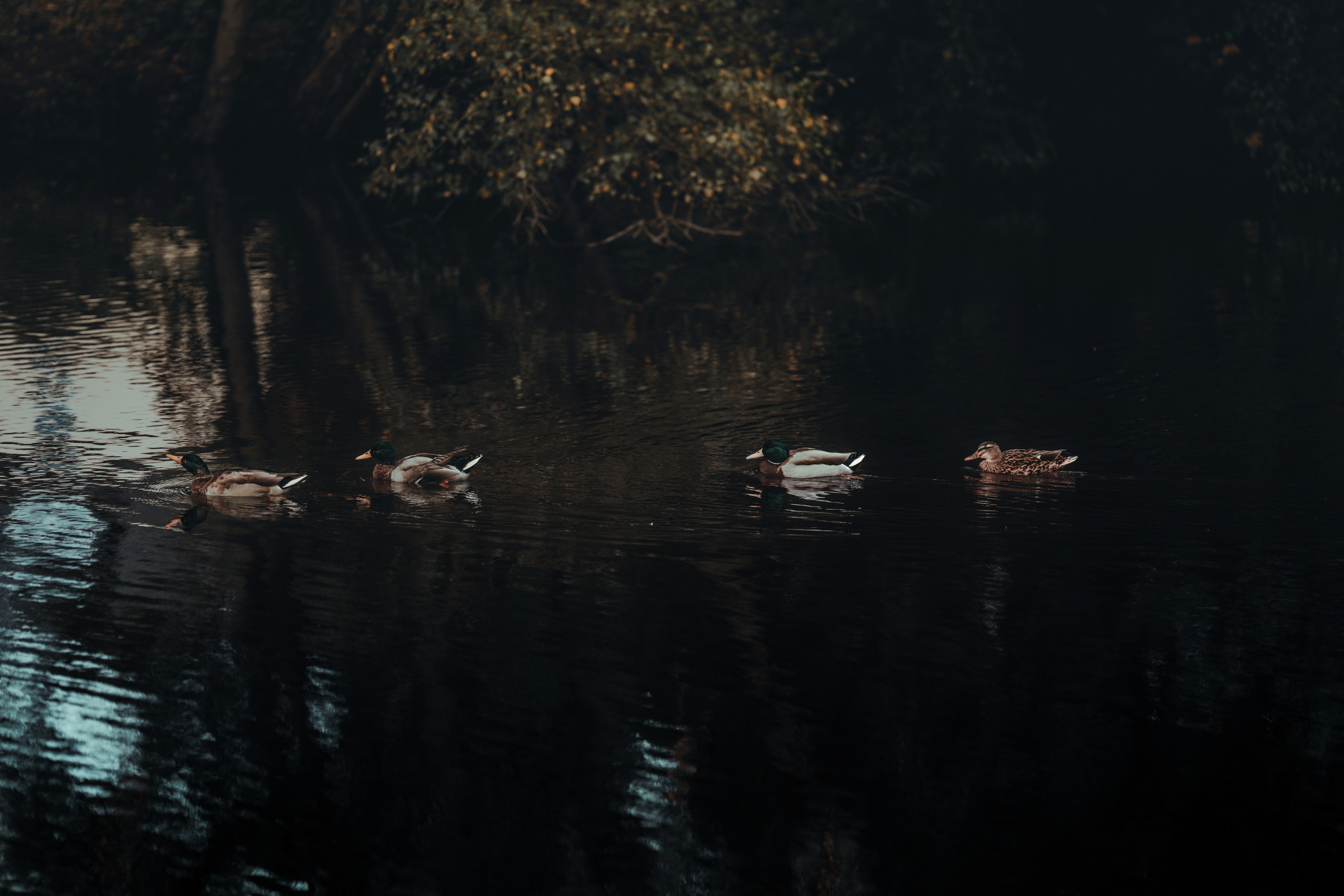 Photo by omarvellous14