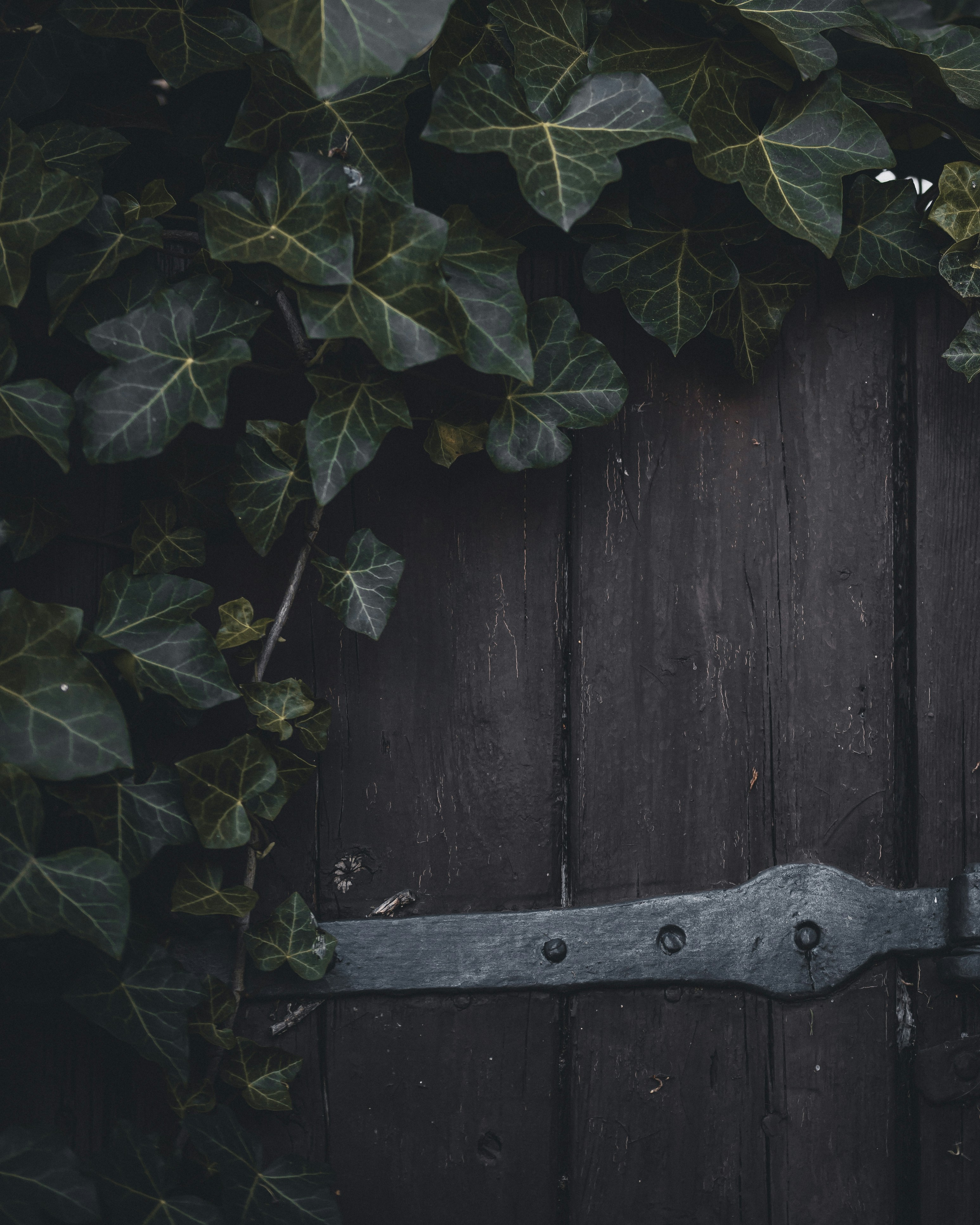 Photo by adamneumann