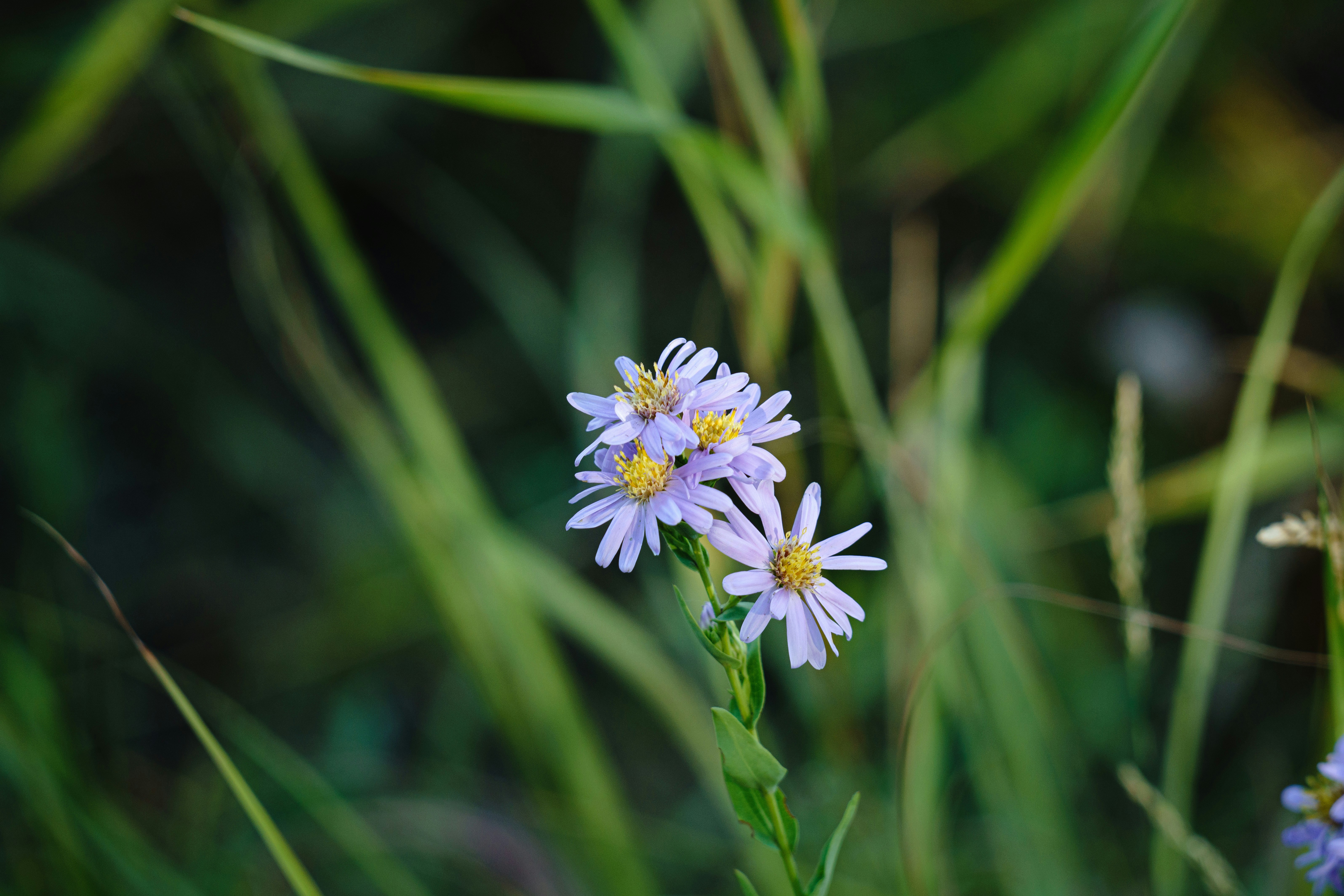 Photo by itworkonline