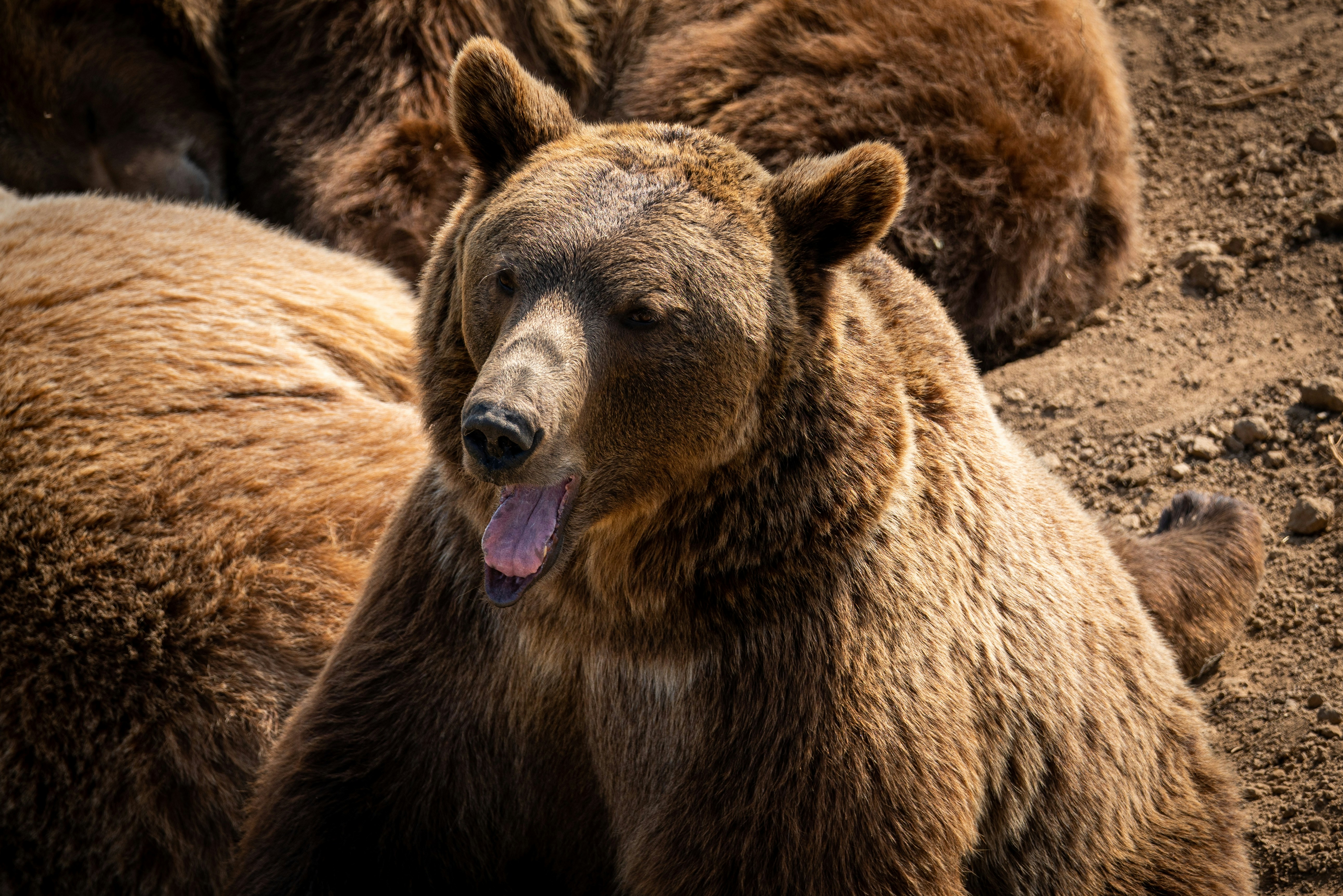 Photo by itworkonline