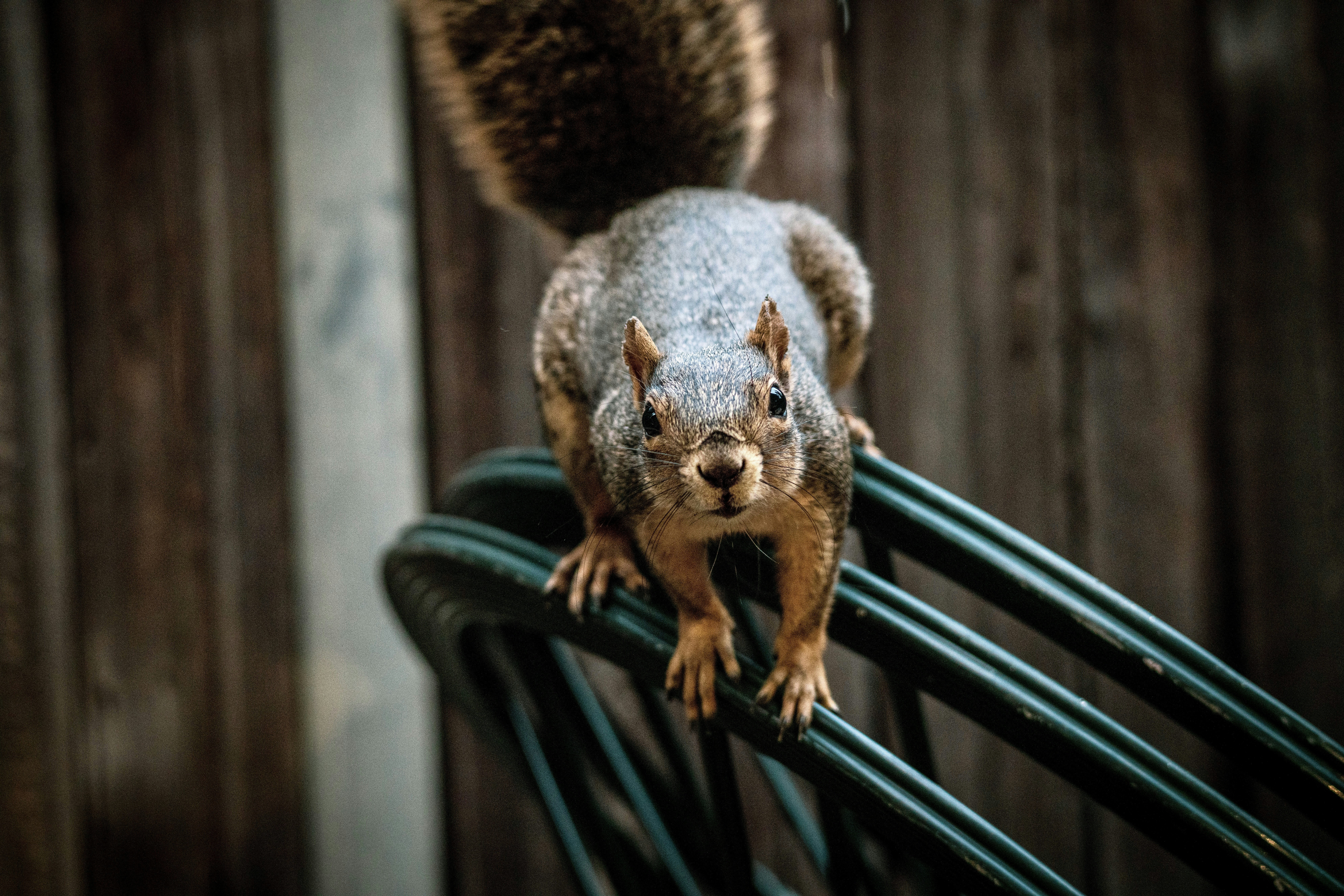 Photo by itworkonline