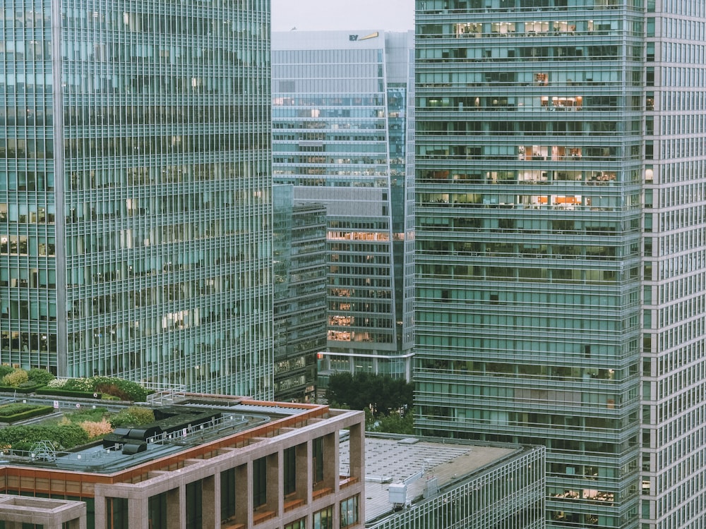 high rise buildings during daytime