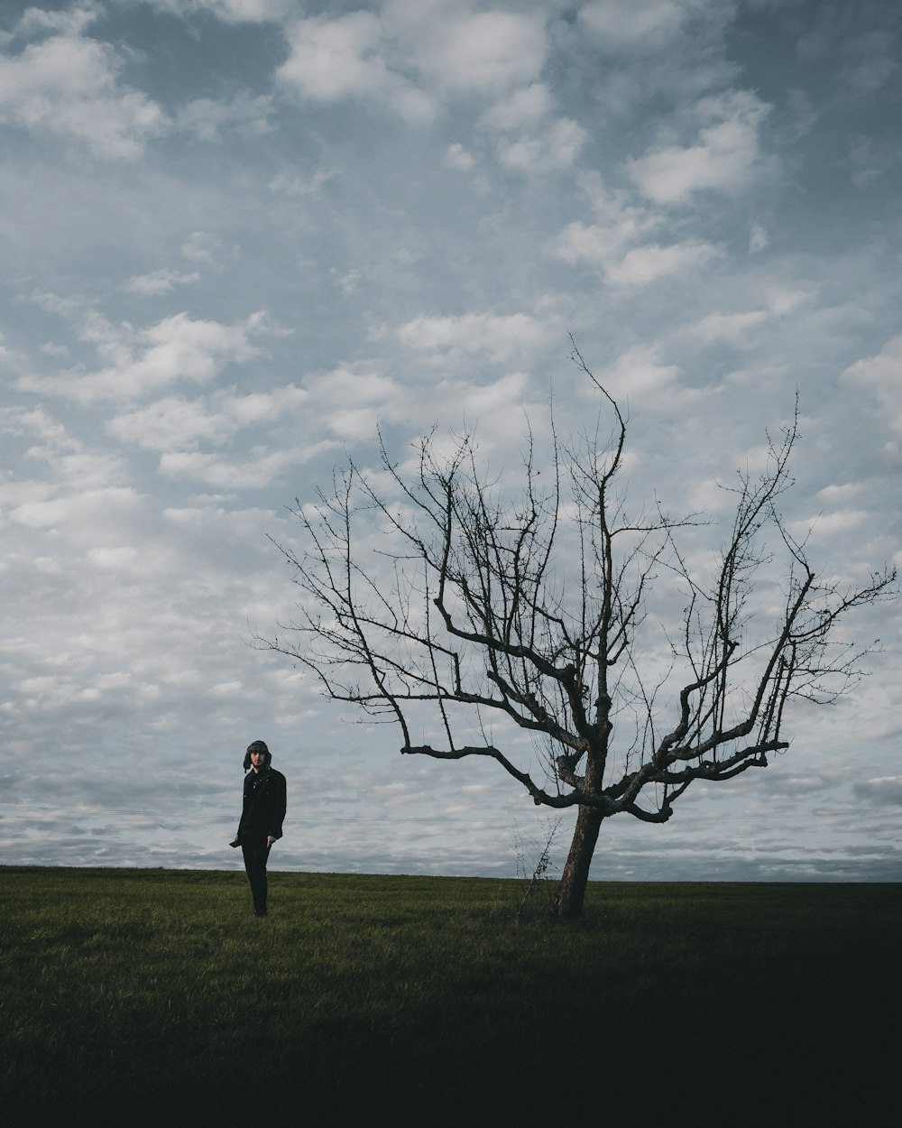 man in black jacket standing near bare tree under cloudy sky during daytime