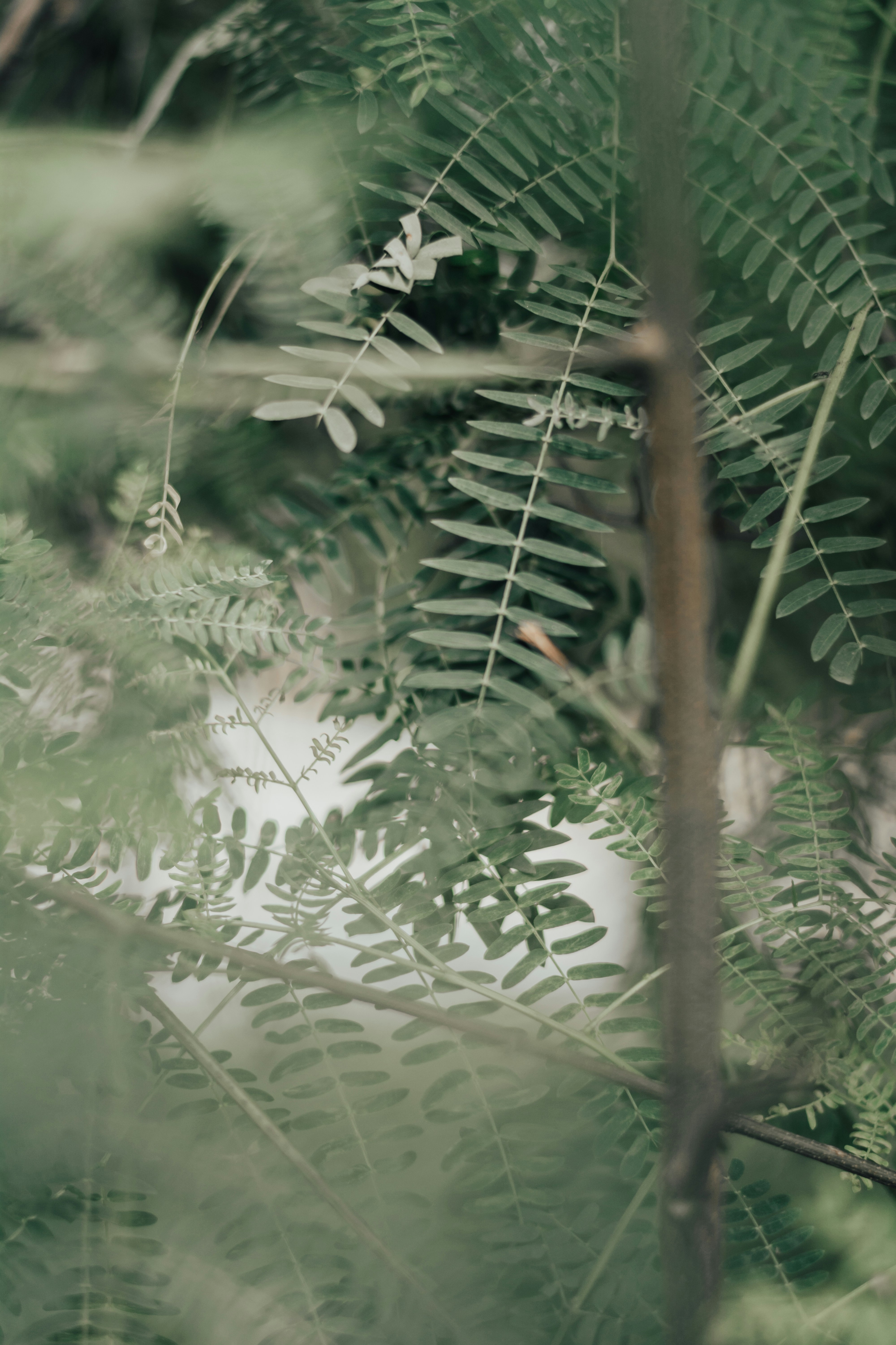 Photo by abdullah_photography