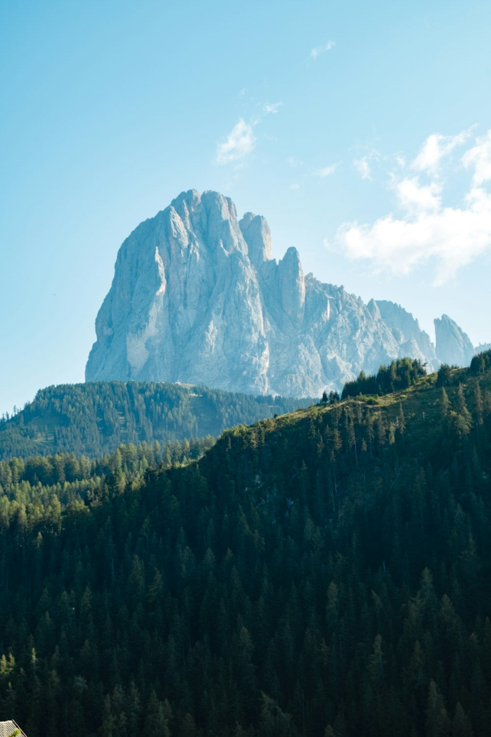 alberi verdi vicino alla montagna durante il giorno