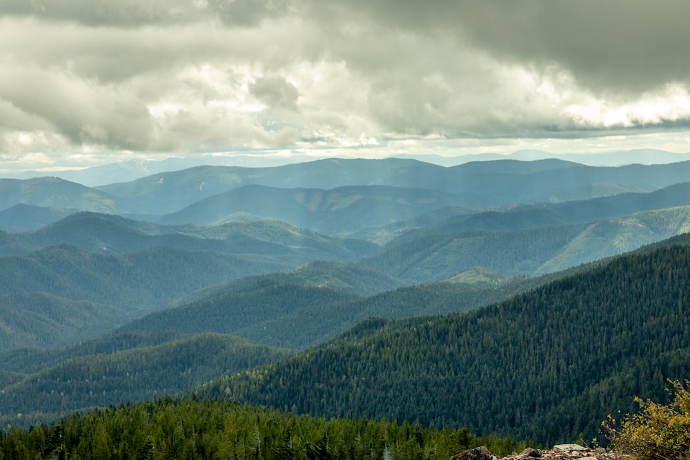 green trees on mountain under white clouds during daytime