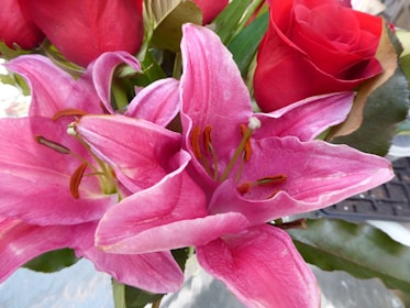 mayoristas de flores en Pereira