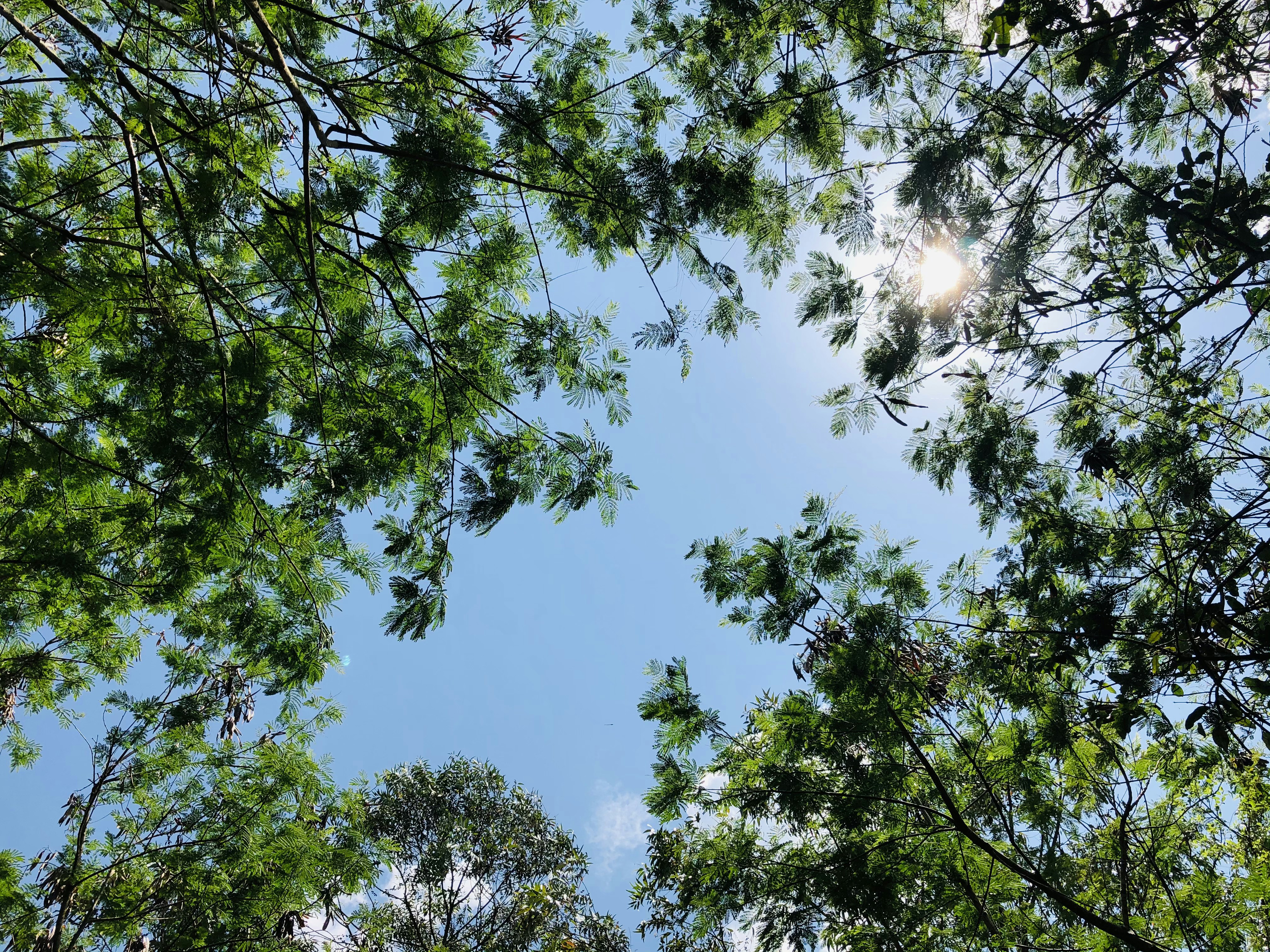 Photo by bbaalemartin256