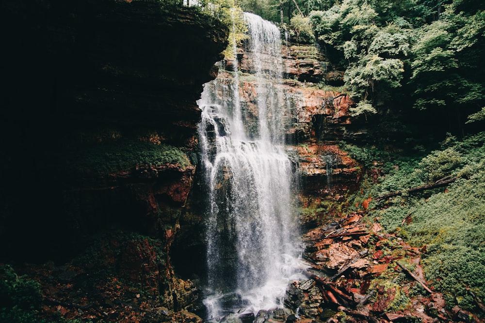 water falls in the middle of the forest