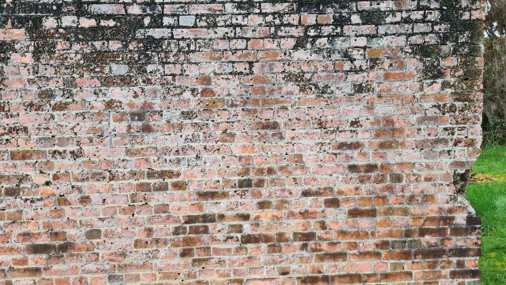 brown and gray brick wall