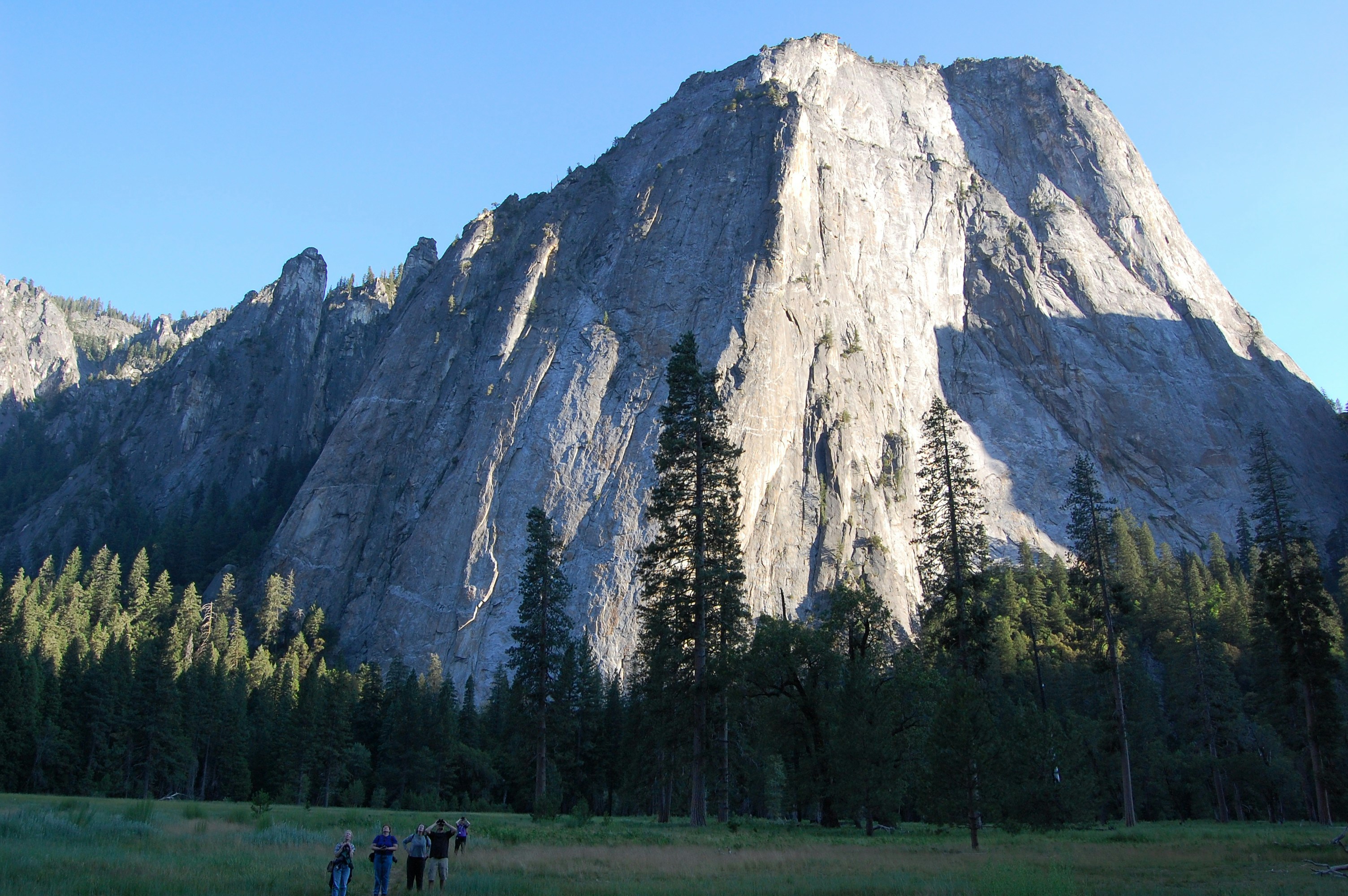 photo-1601503908303-e7a5e7dc21cf?crop=en