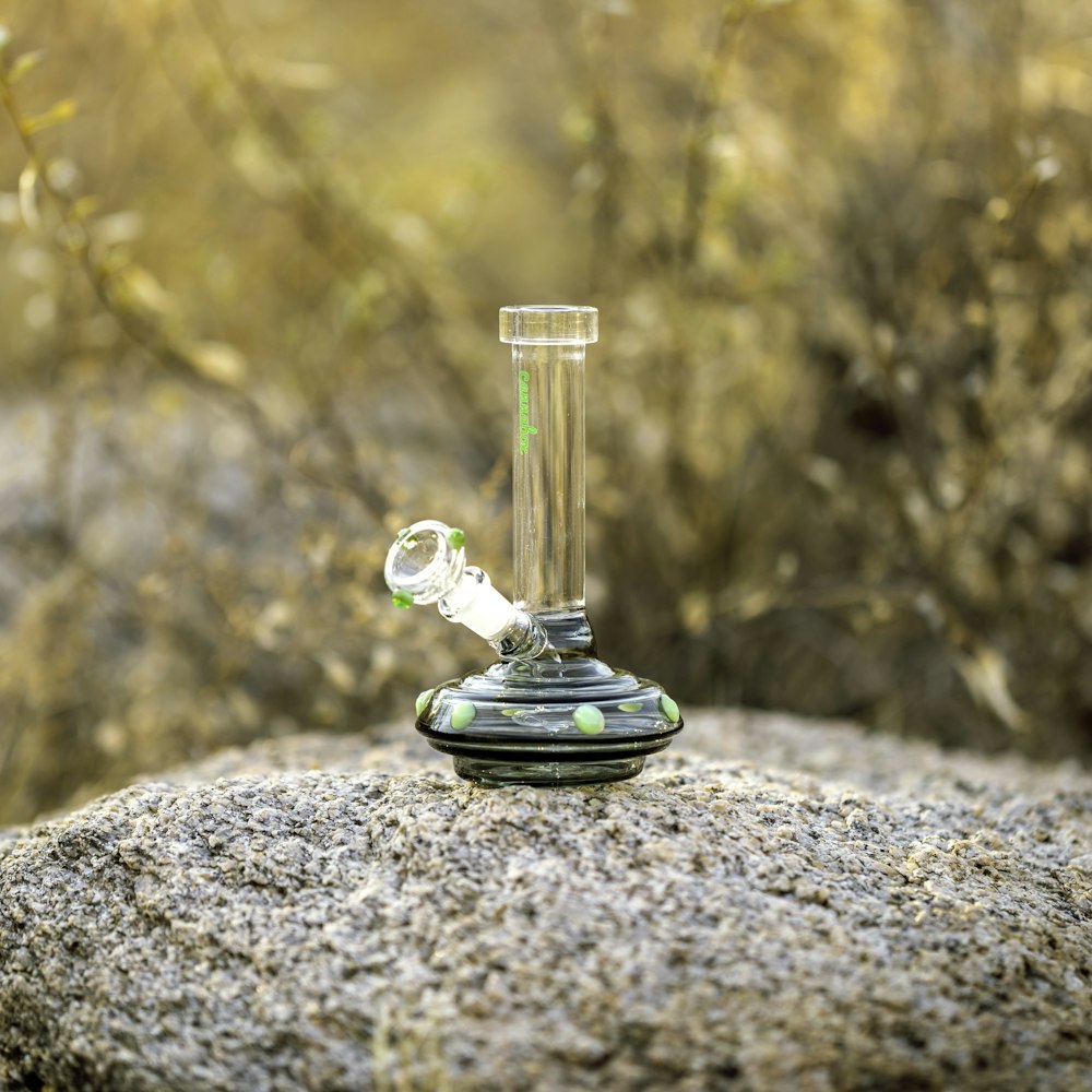 clear glass water bong on gray rock