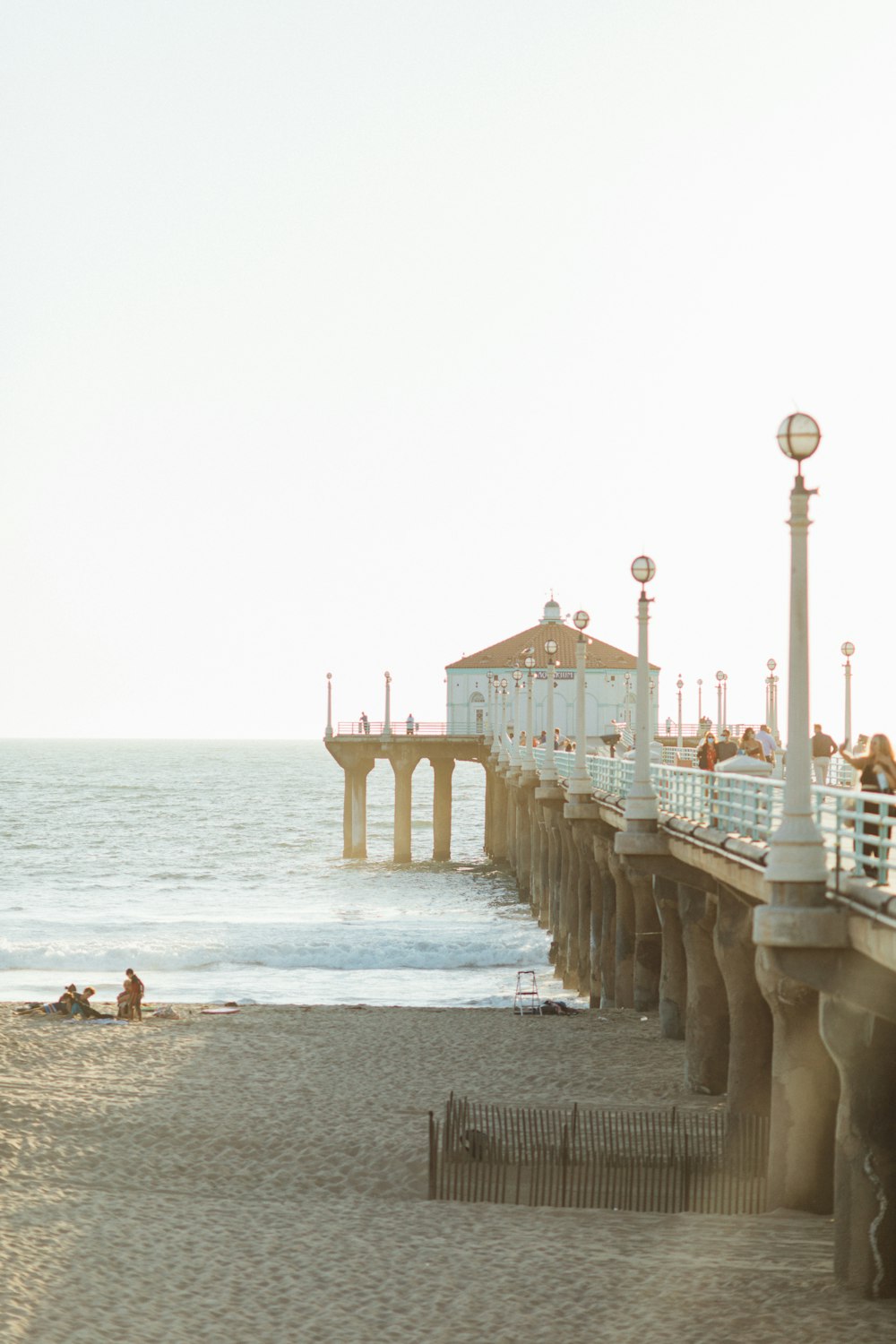 people on beach during daytime