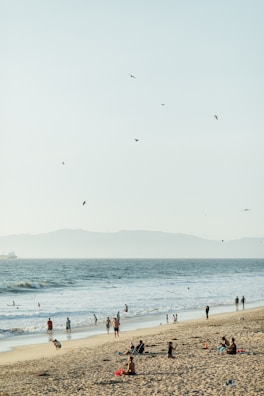 Visitors enjoying a sunny day at the beach.