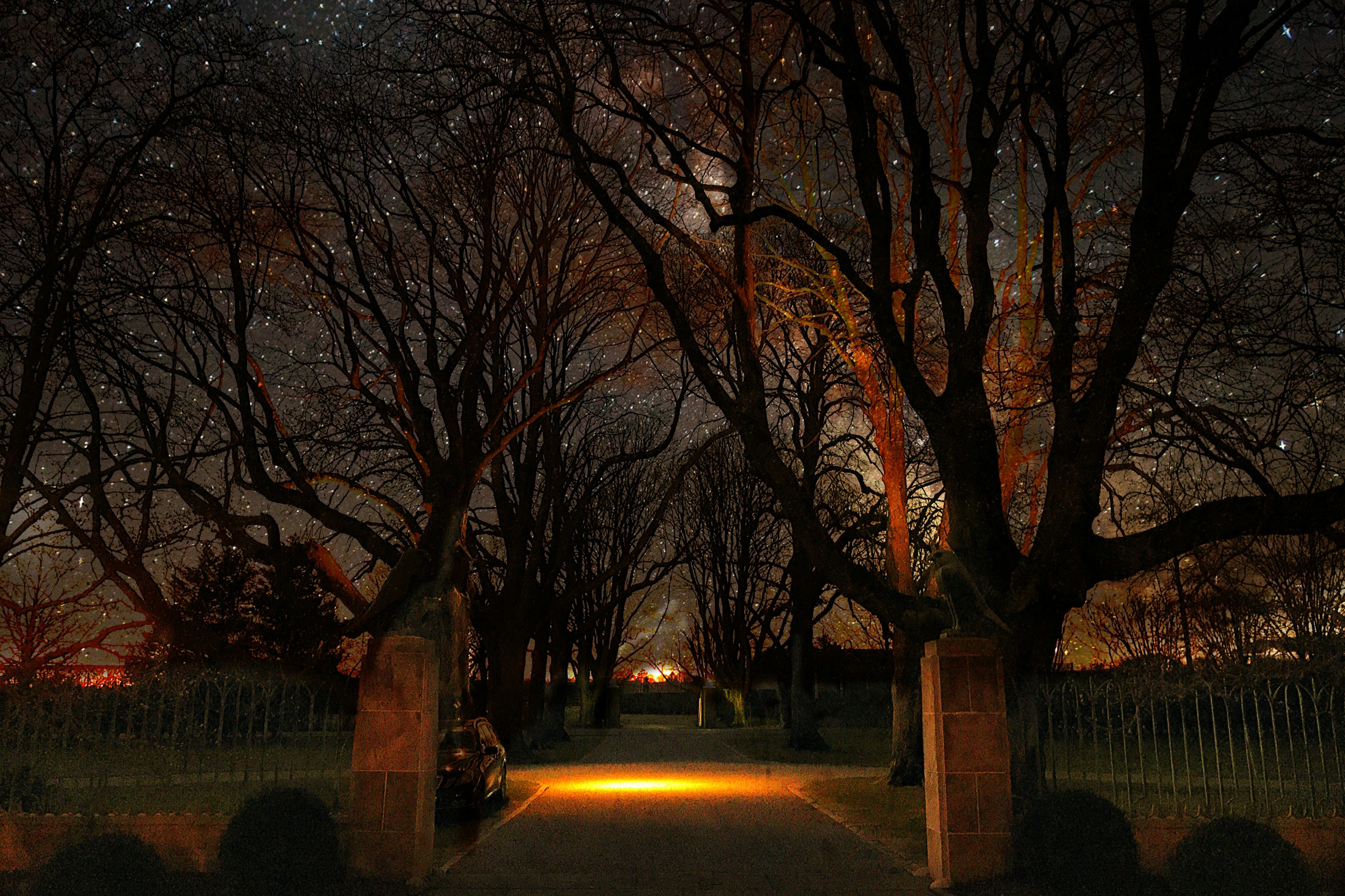 Enchanting Tales Await You