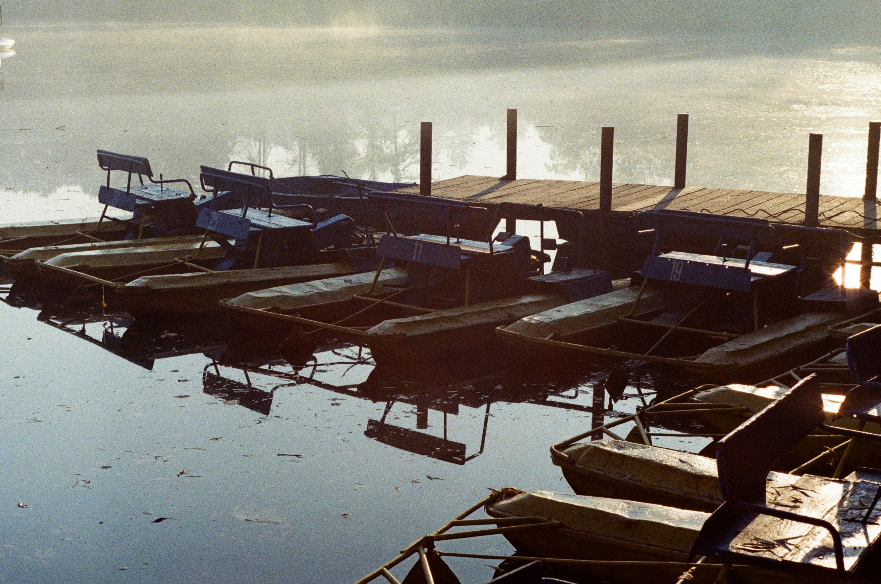 brown wooden dock on body of water during daytime