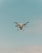 A drone is flying in the center of a clear sky. The drone is white with a camera attached to its underside, indicating it might be used for aerial photography.