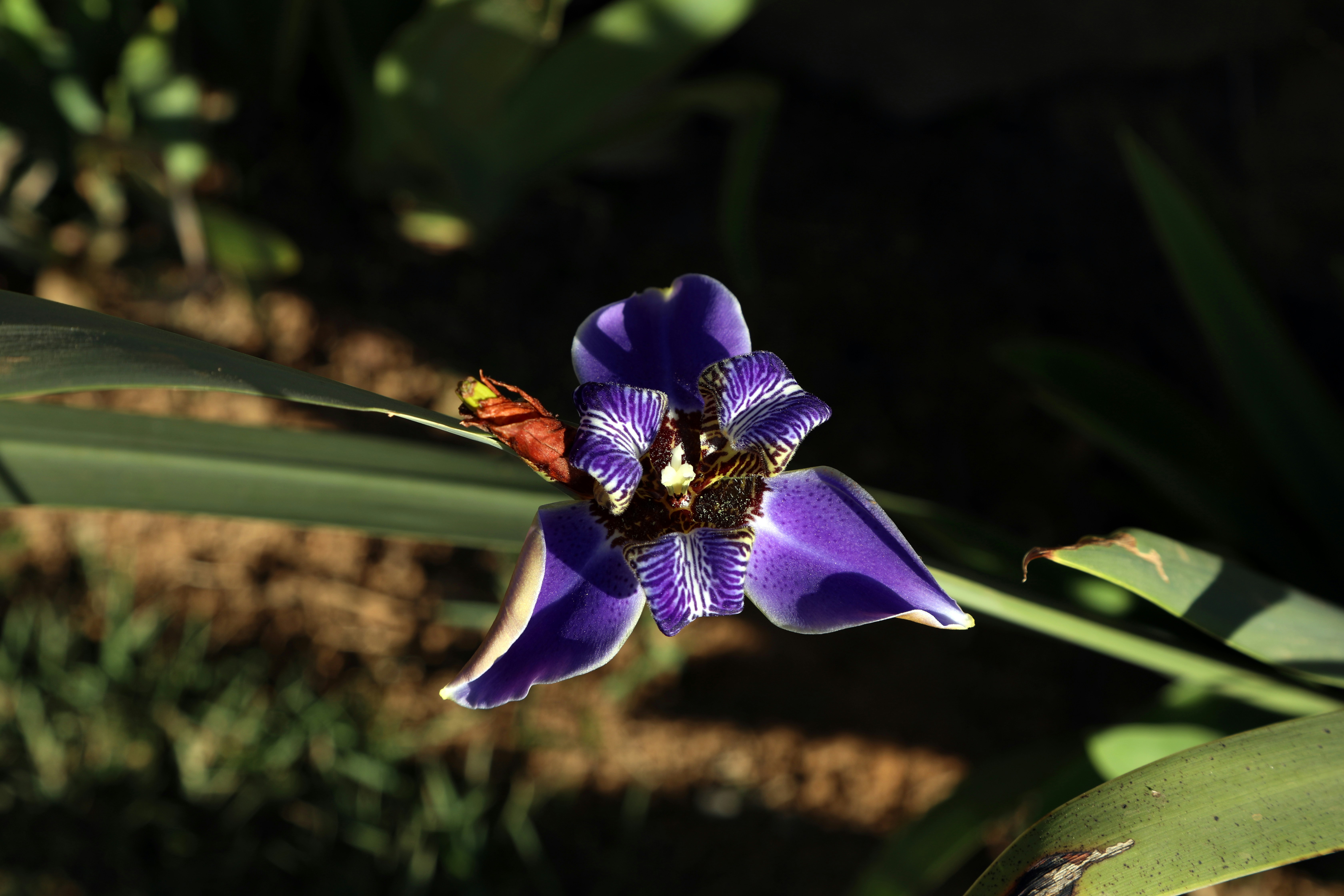 Photo by marcusdallcol