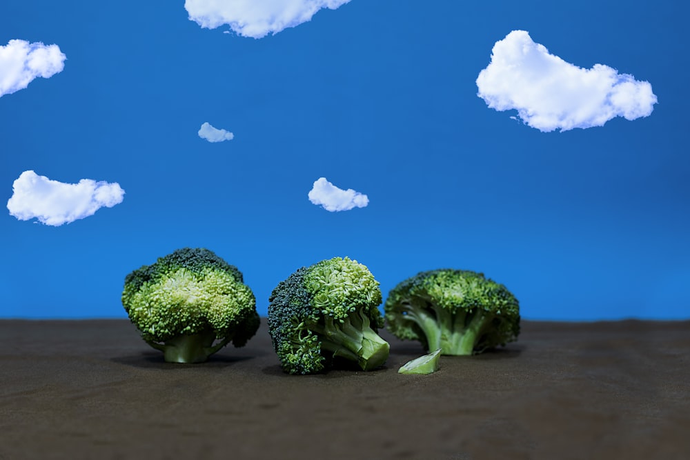 green broccoli under blue sky during daytime