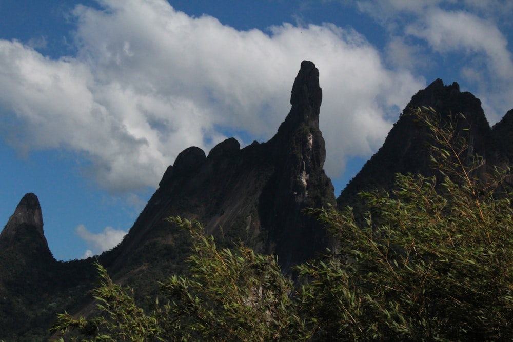 green trees on mountain under white clouds and blue sky during daytime