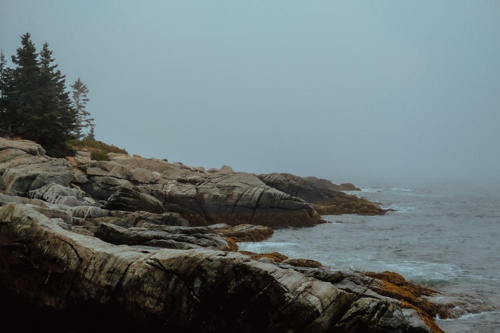 brown rocky mountain beside body of water during daytime