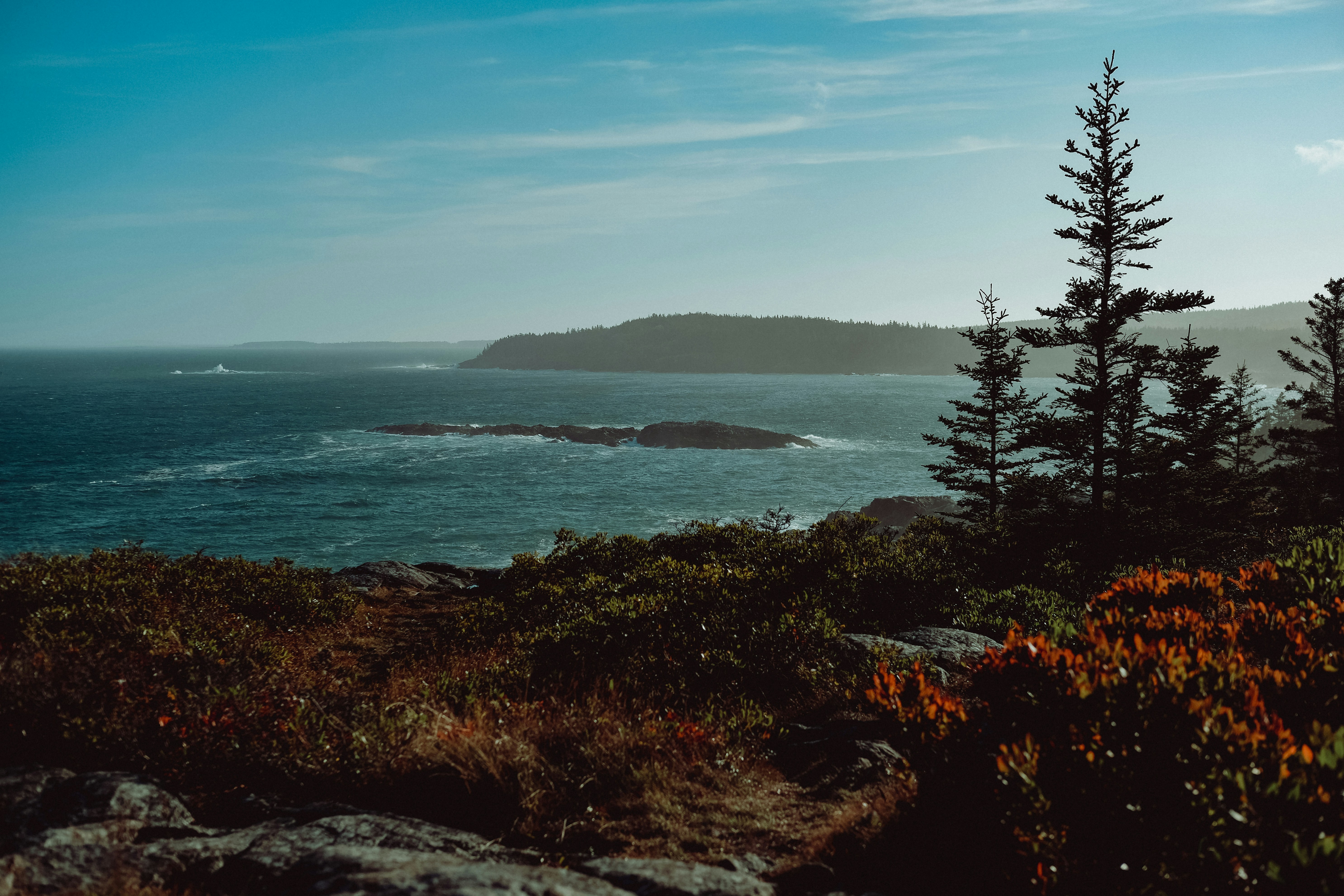 Photo by aylameinberg