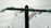 A wooden utility pole supports several electrical insulators made of glass, which are arranged in a circular pattern at the top of the pole. The glass insulators are a light blue-green color, and several wires are attached to them, extending outwards. The background is a cloudy gray sky.