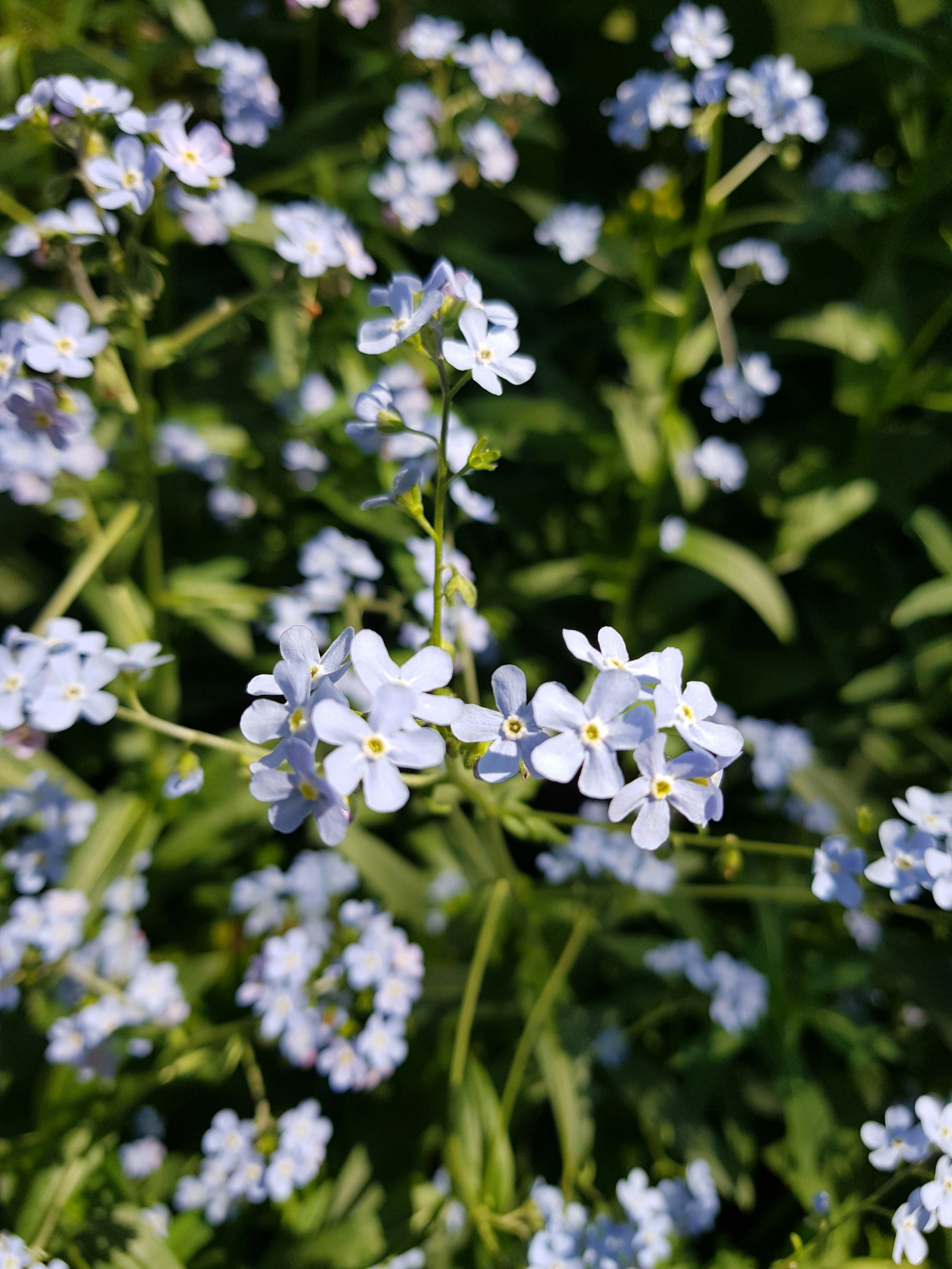 Photo by tiagonakamura