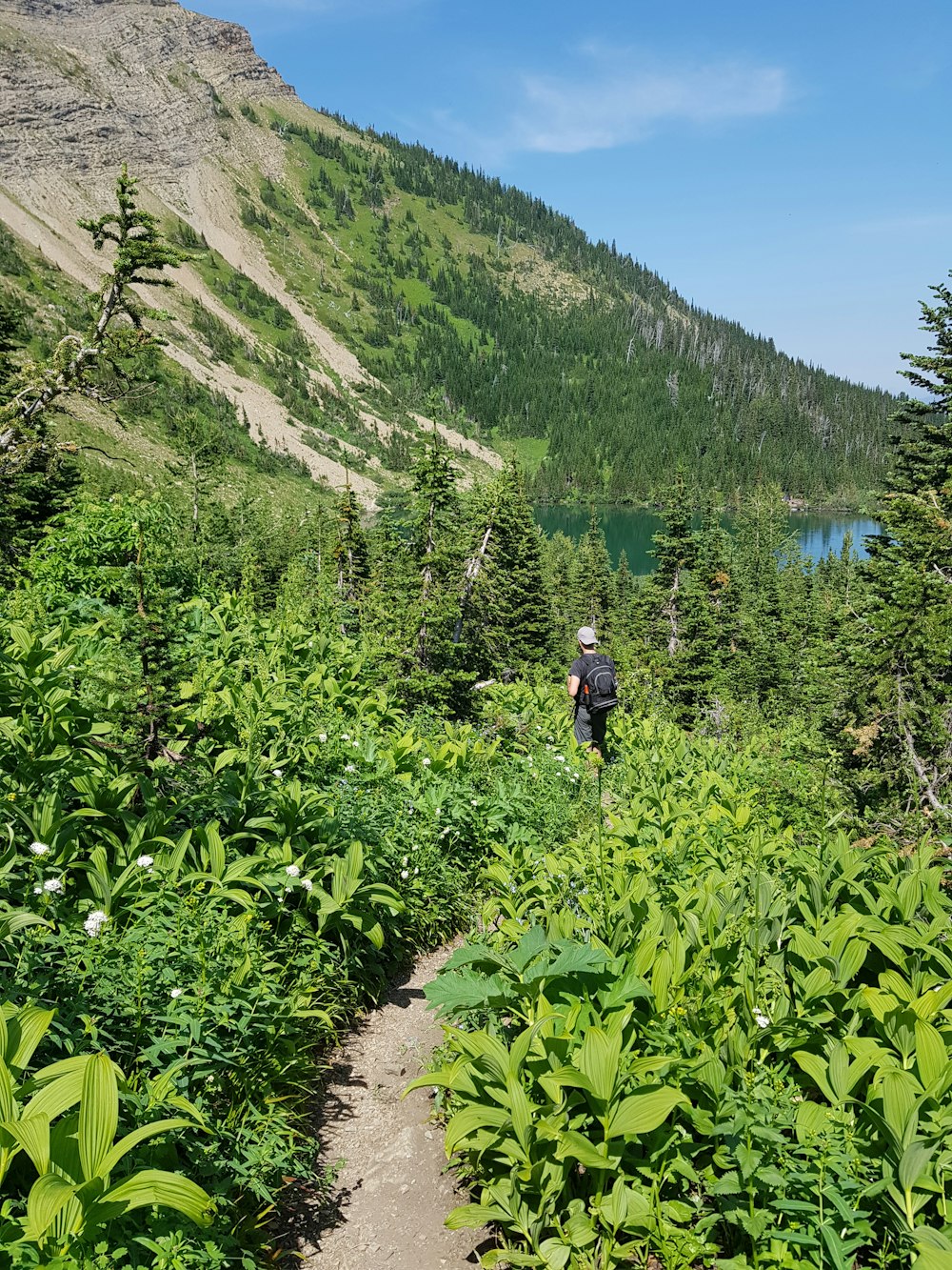 person in black jacket walking on pathway between green plants during daytime