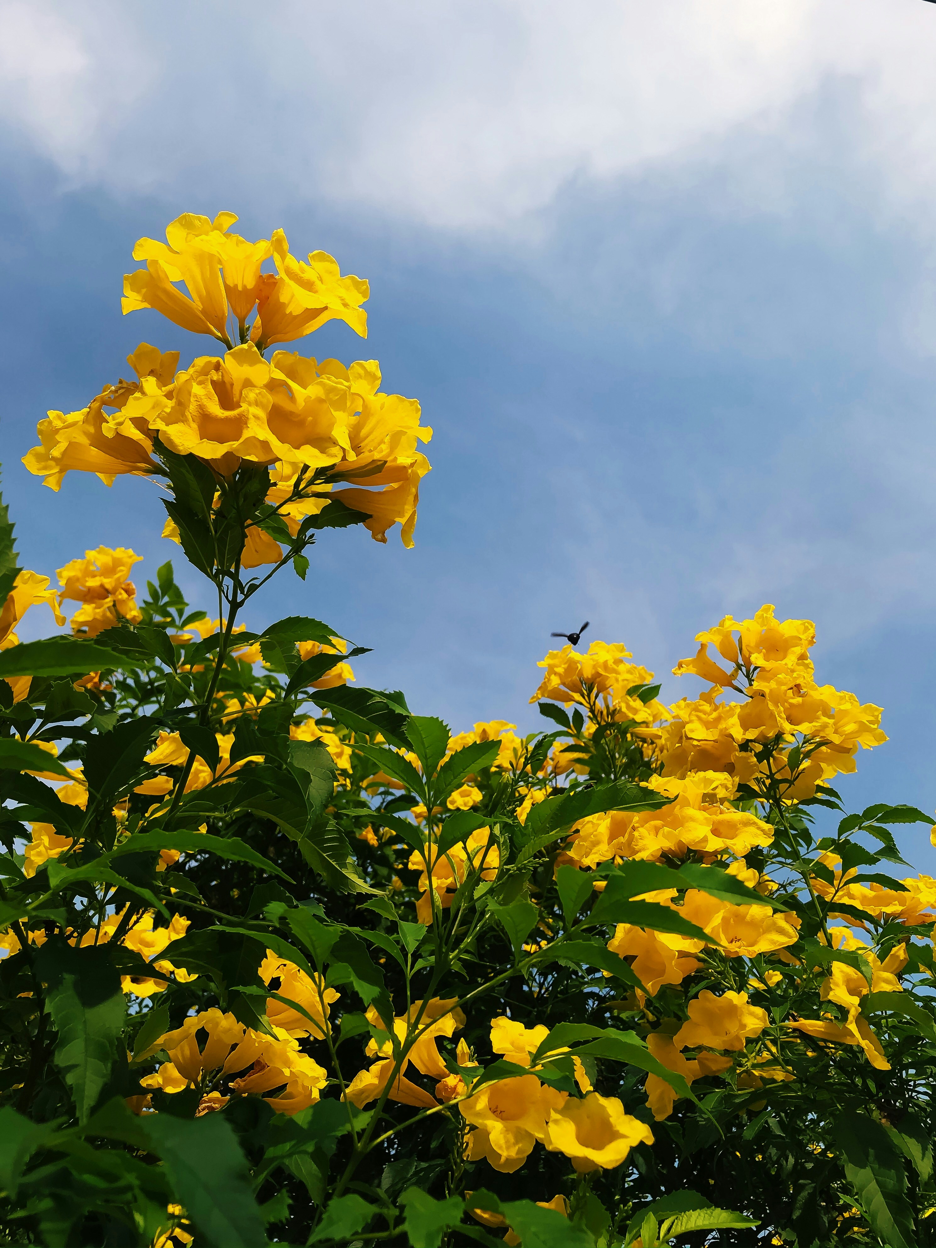 Photo by joulebennoy