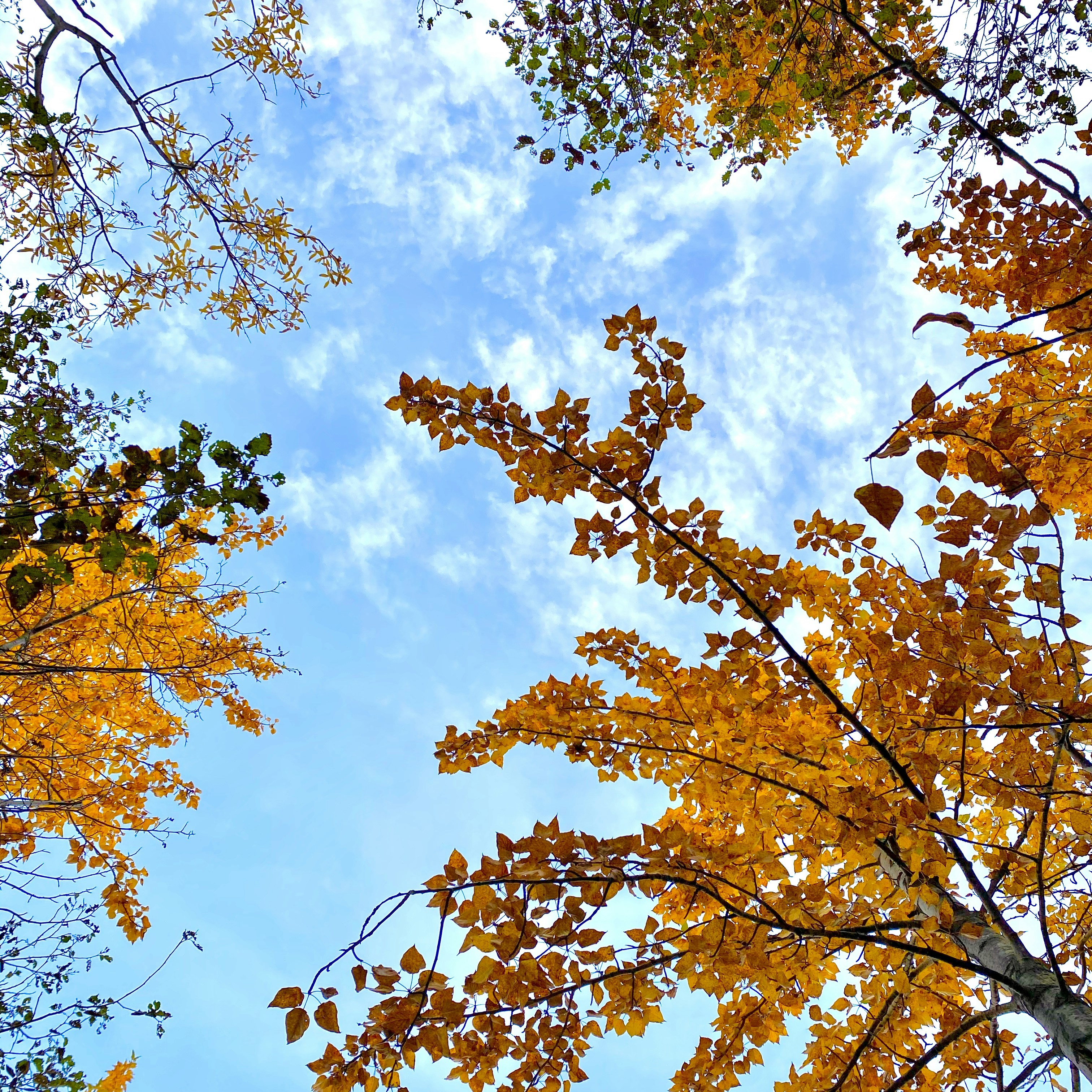 Photo by proudestpuff21