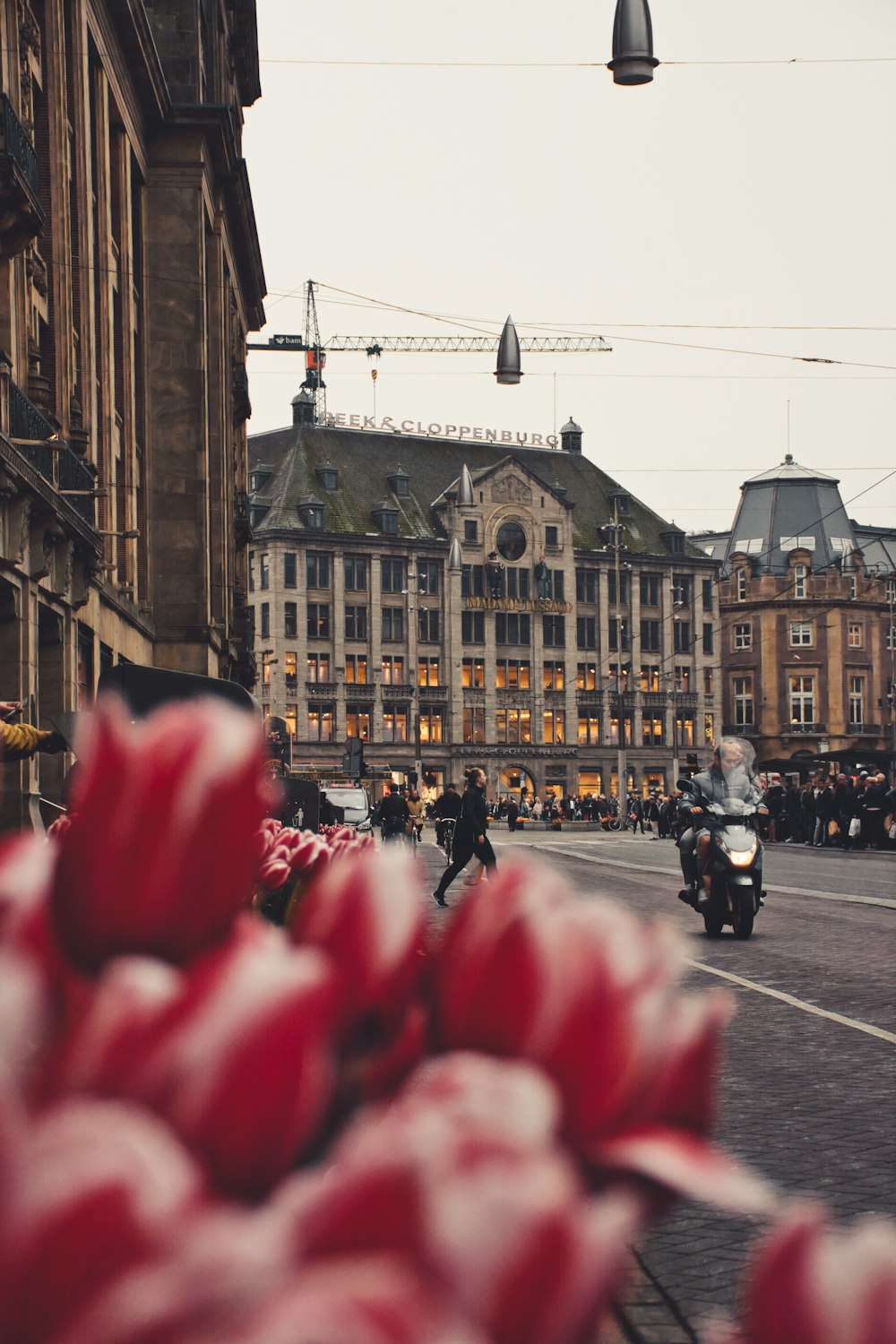 people in red shirt walking on street during daytime