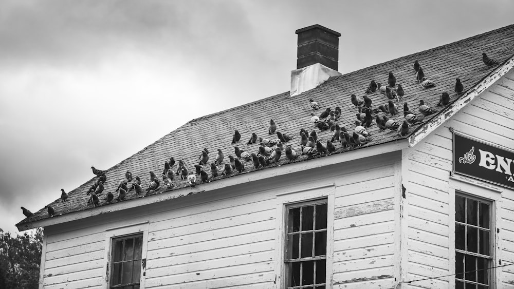 grayscale photo of white wooden house