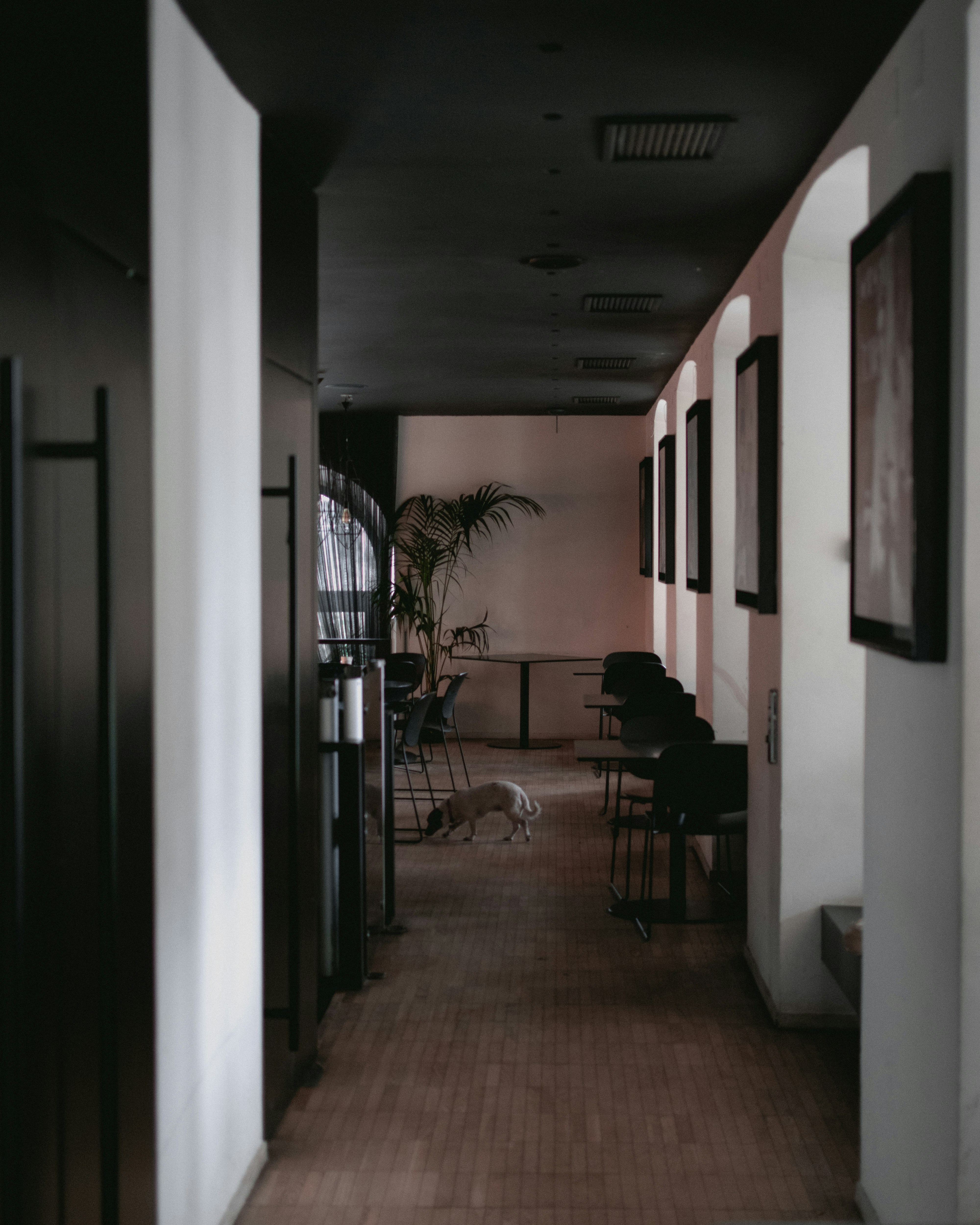 Photo by vinimuller