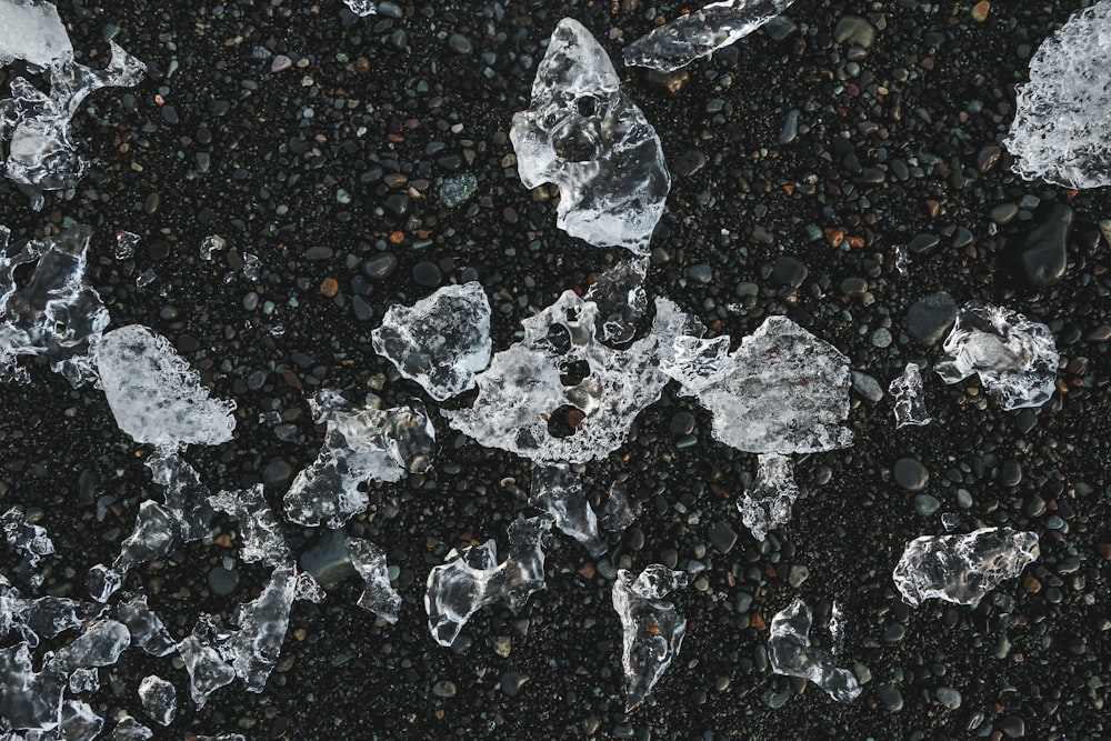 white and gray stone on black soil